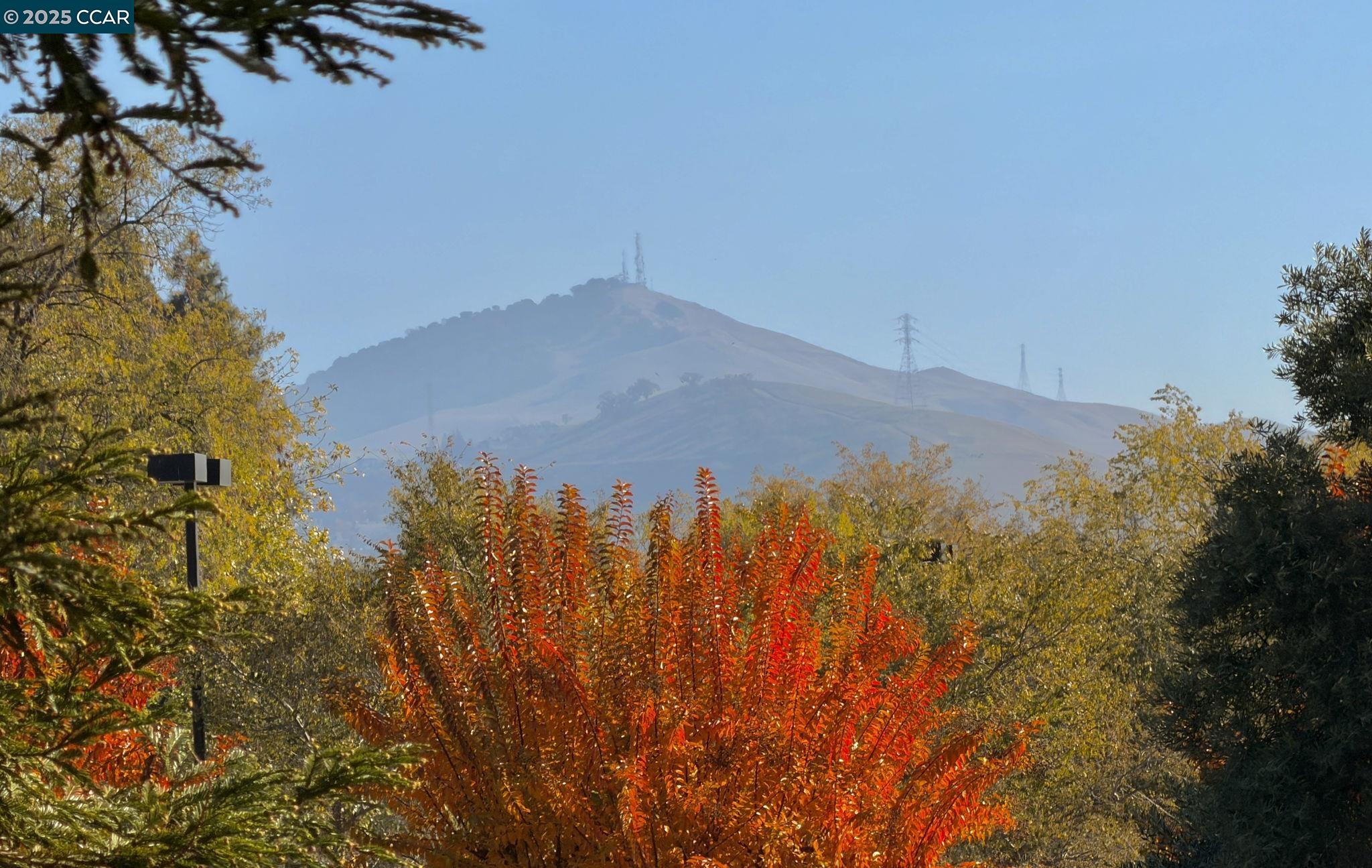 Photo #23: 41119067 Listing: Photo #23