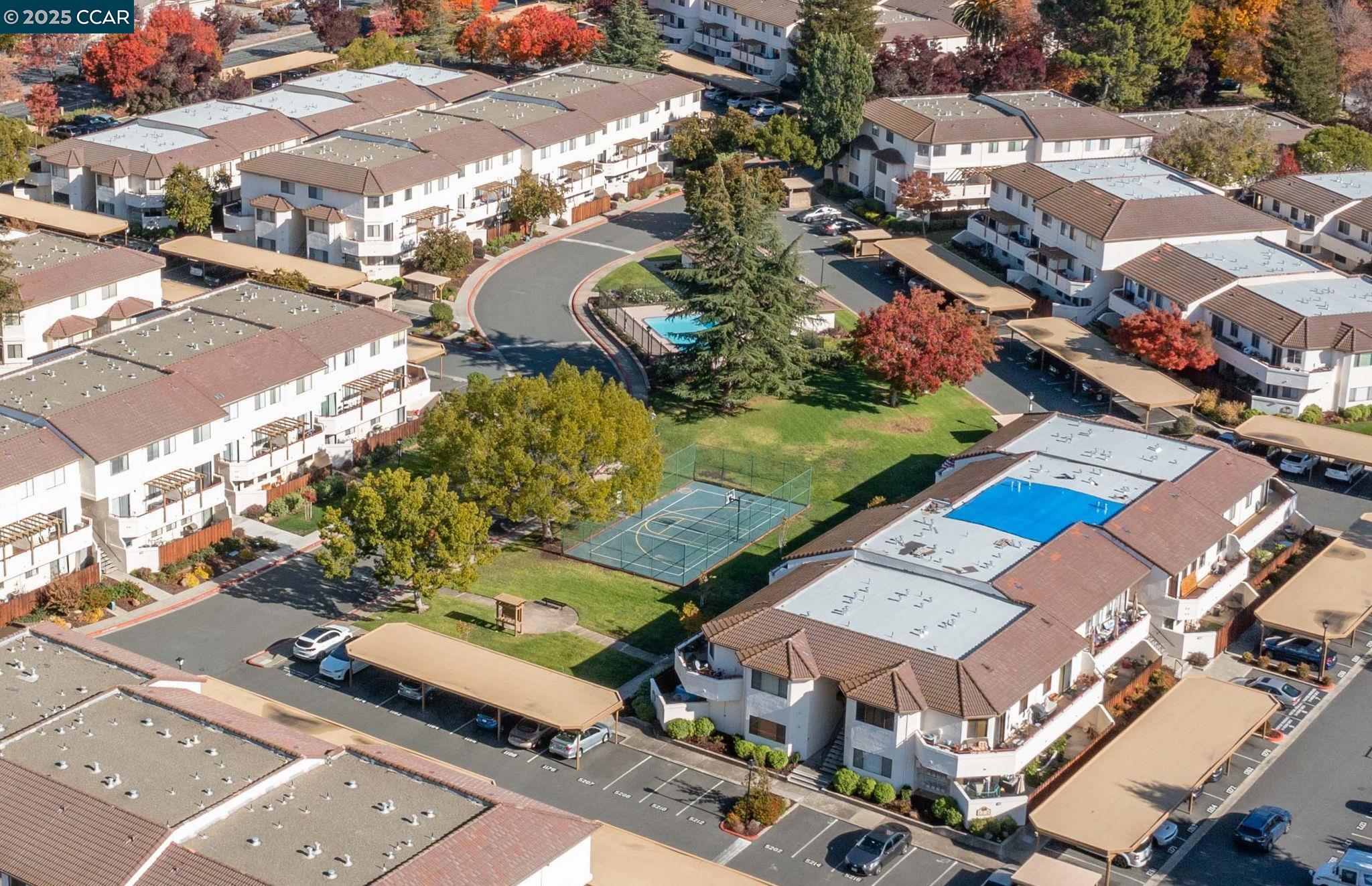 Photo #31: 41119067 Listing: Photo #31