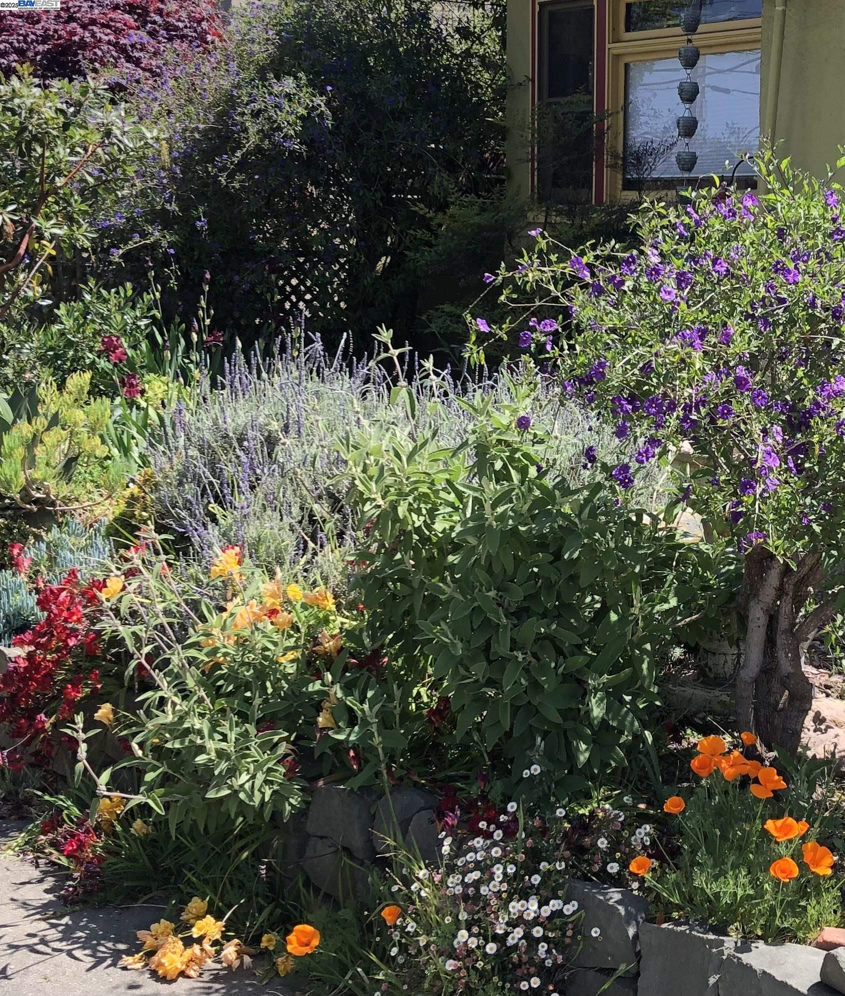 Detail Gallery Image 51 of 56 For 1542 Broadway, Alameda,  CA 94501 - 3 Beds | 1/1 Baths