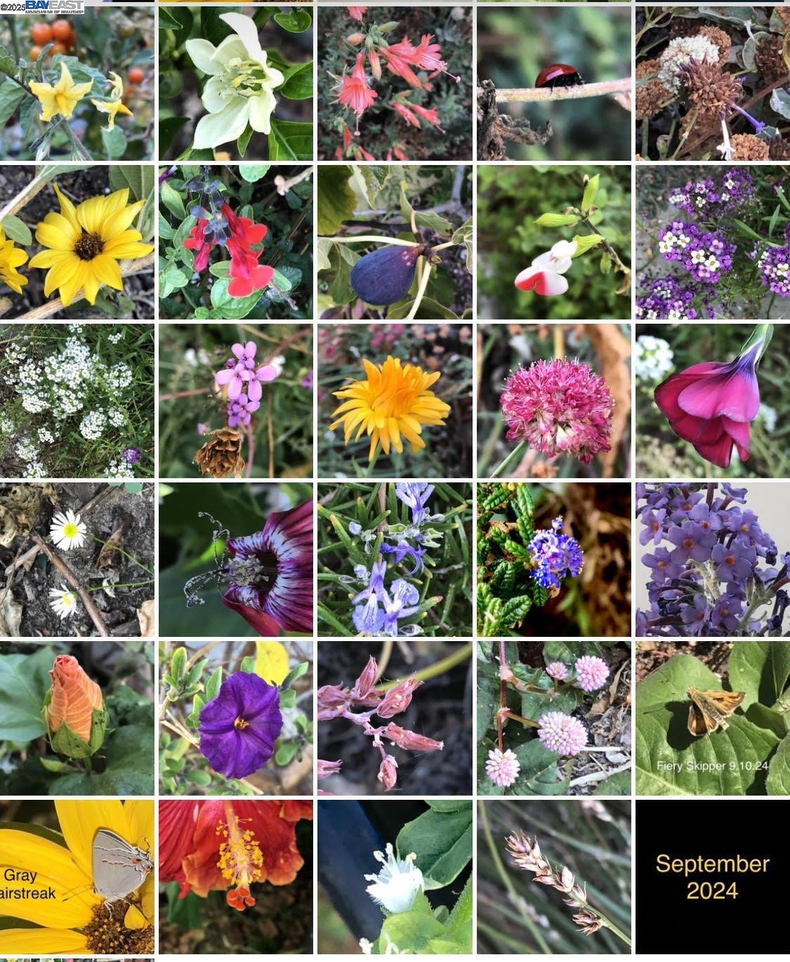 Detail Gallery Image 55 of 56 For 1542 Broadway, Alameda,  CA 94501 - 3 Beds | 1/1 Baths