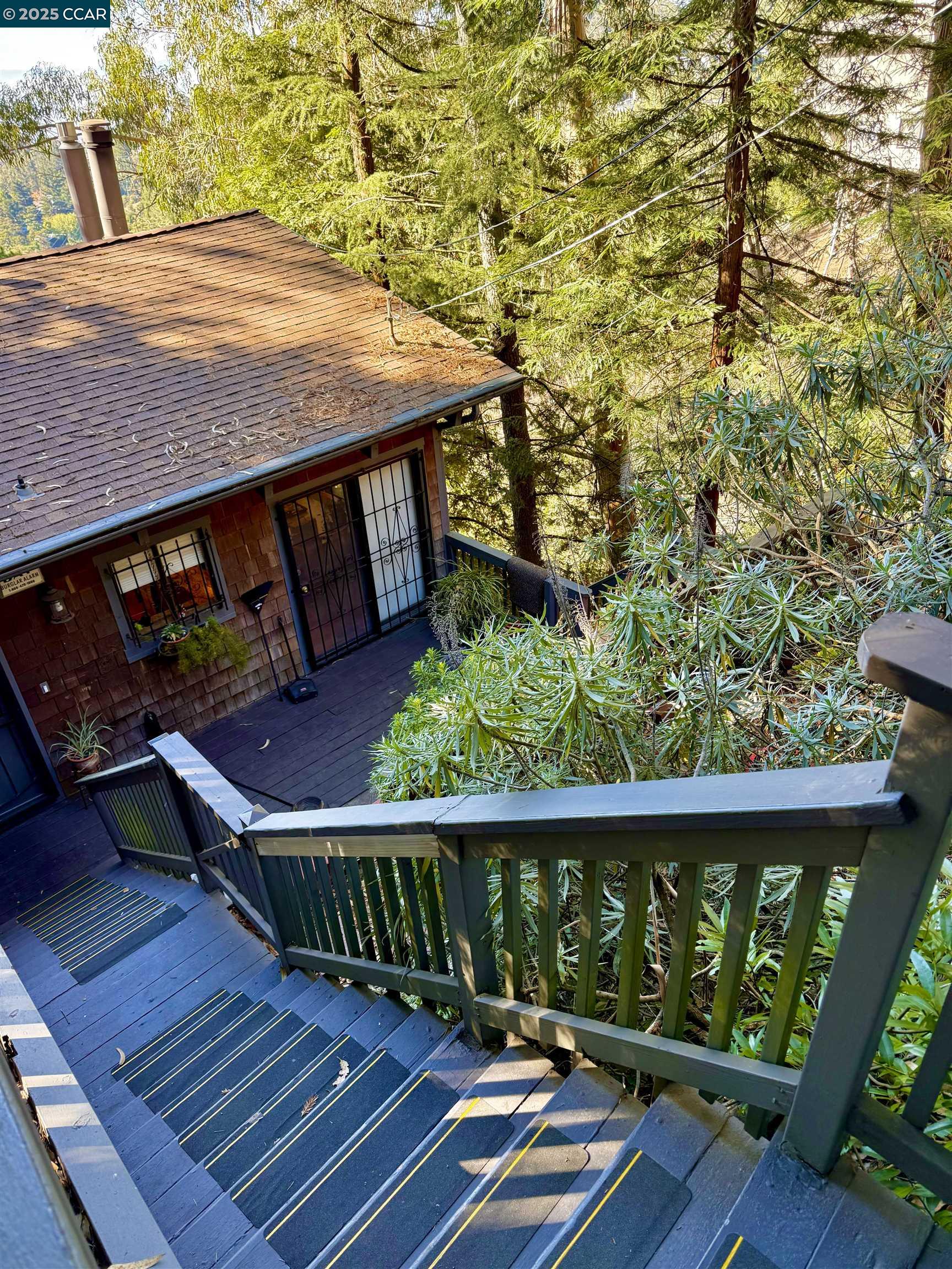 Front Image Thumbnail for CC41119079