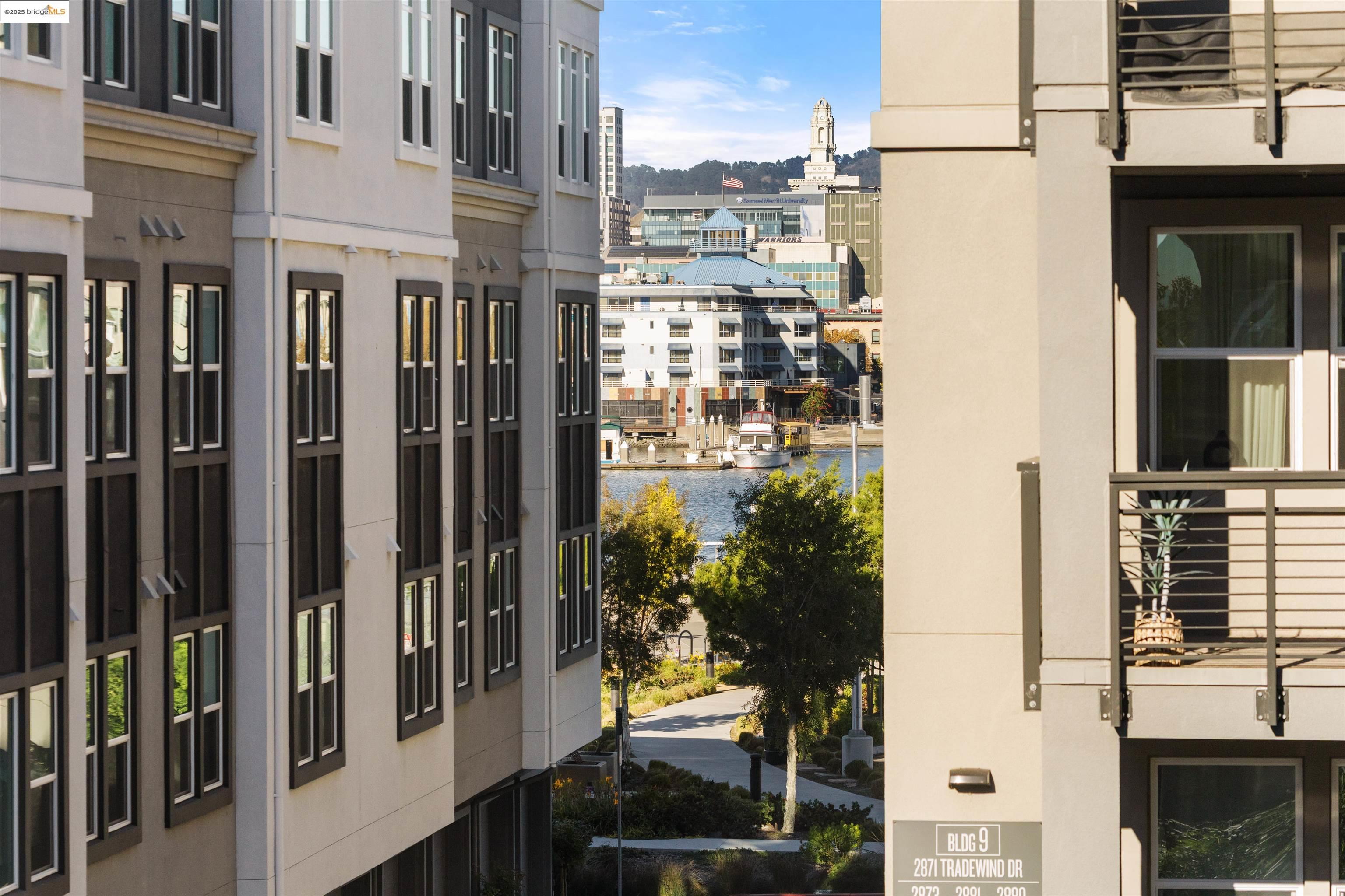 Photo #13: 41119080 Listing: Photo #13