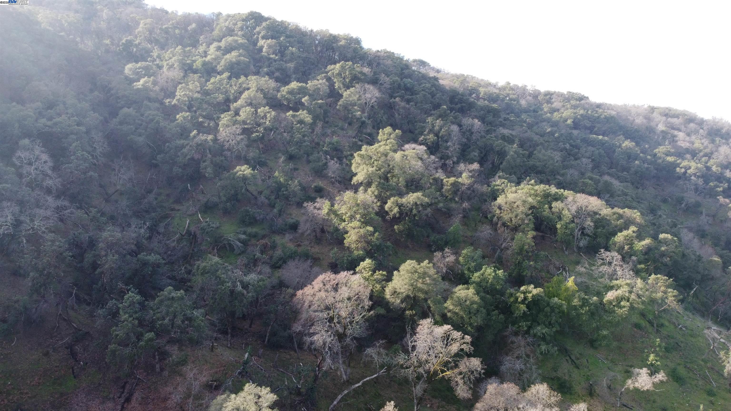 Detail Gallery Image 53 of 53 For 116 Ridgecrest Dr, Napa,  CA 94558 - – Beds | – Baths