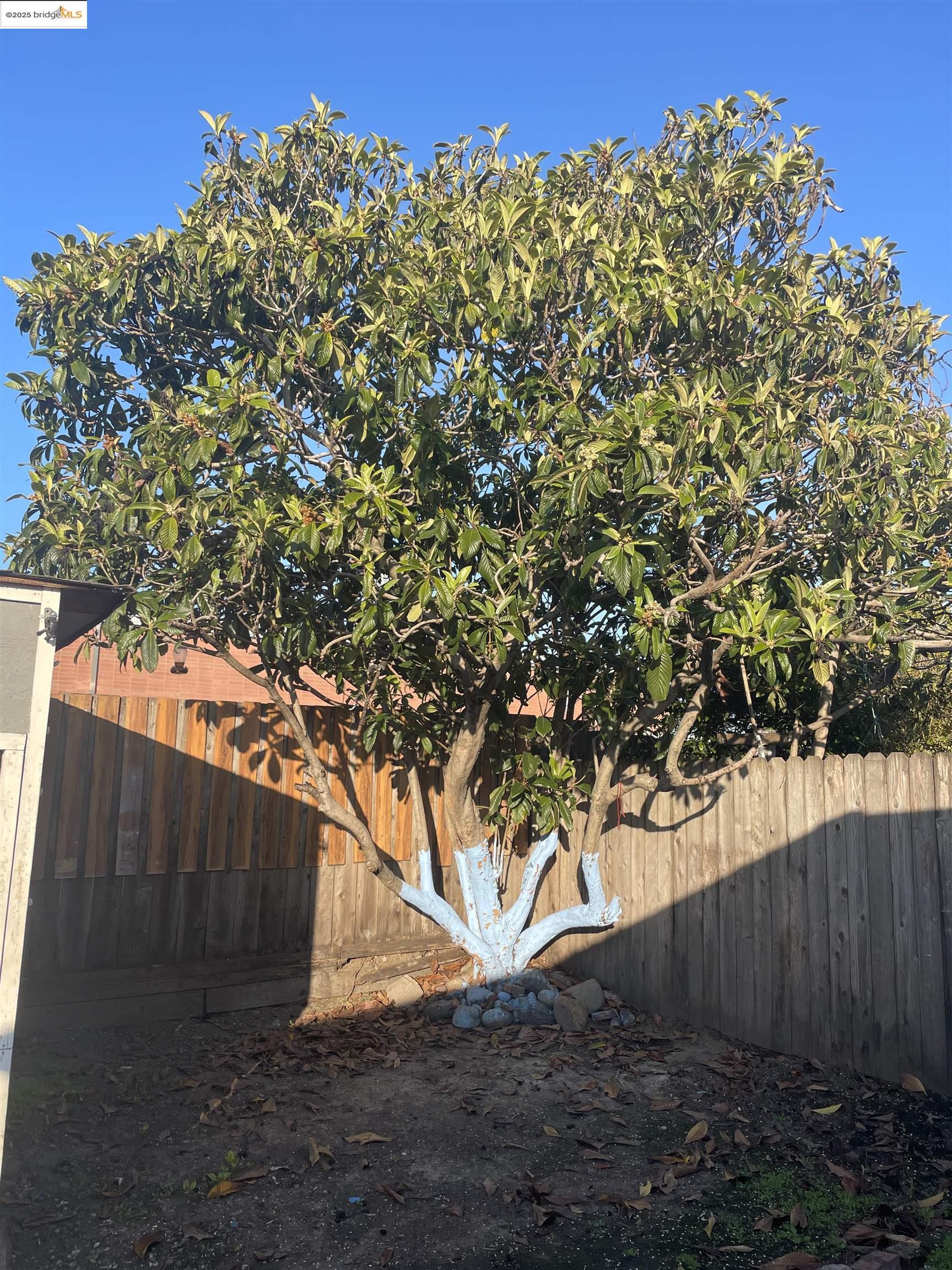 Detail Gallery Image 11 of 31 For 3525 Bissell Avenue, Richmond,  CA 94804 - 3 Beds | 1 Baths