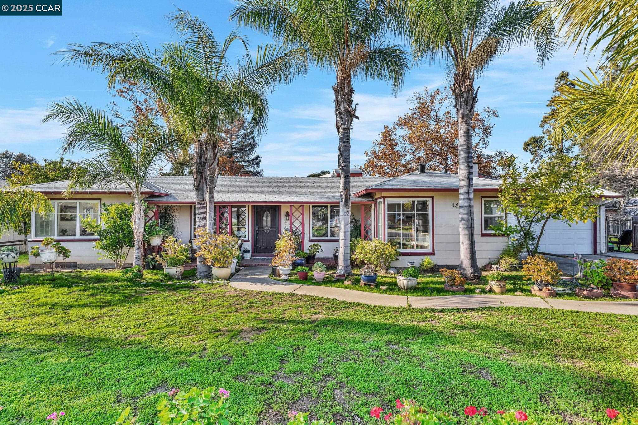 Detail Gallery Image 3 of 56 For 1455 Grove Way, Concord,  CA 94518 - 4 Beds | 3 Baths