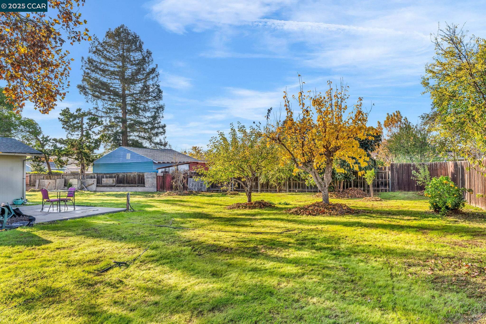 Detail Gallery Image 38 of 55 For 1455 Grove Way, Concord,  CA 94518 - 4 Beds | 3 Baths