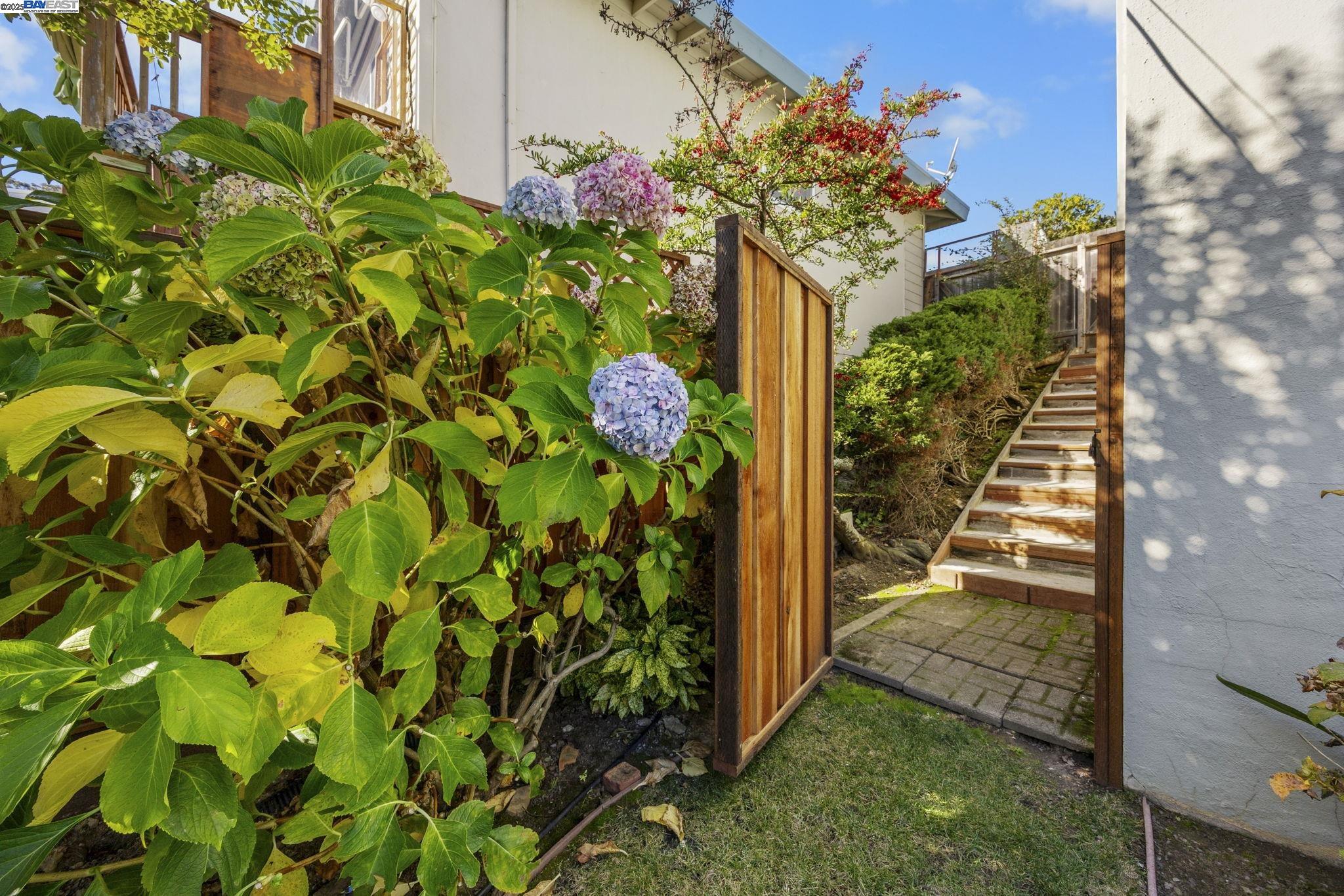 Detail Gallery Image 44 of 59 For 2461 Trenton Dr, San Bruno,  CA 94066 - 3 Beds | 2 Baths