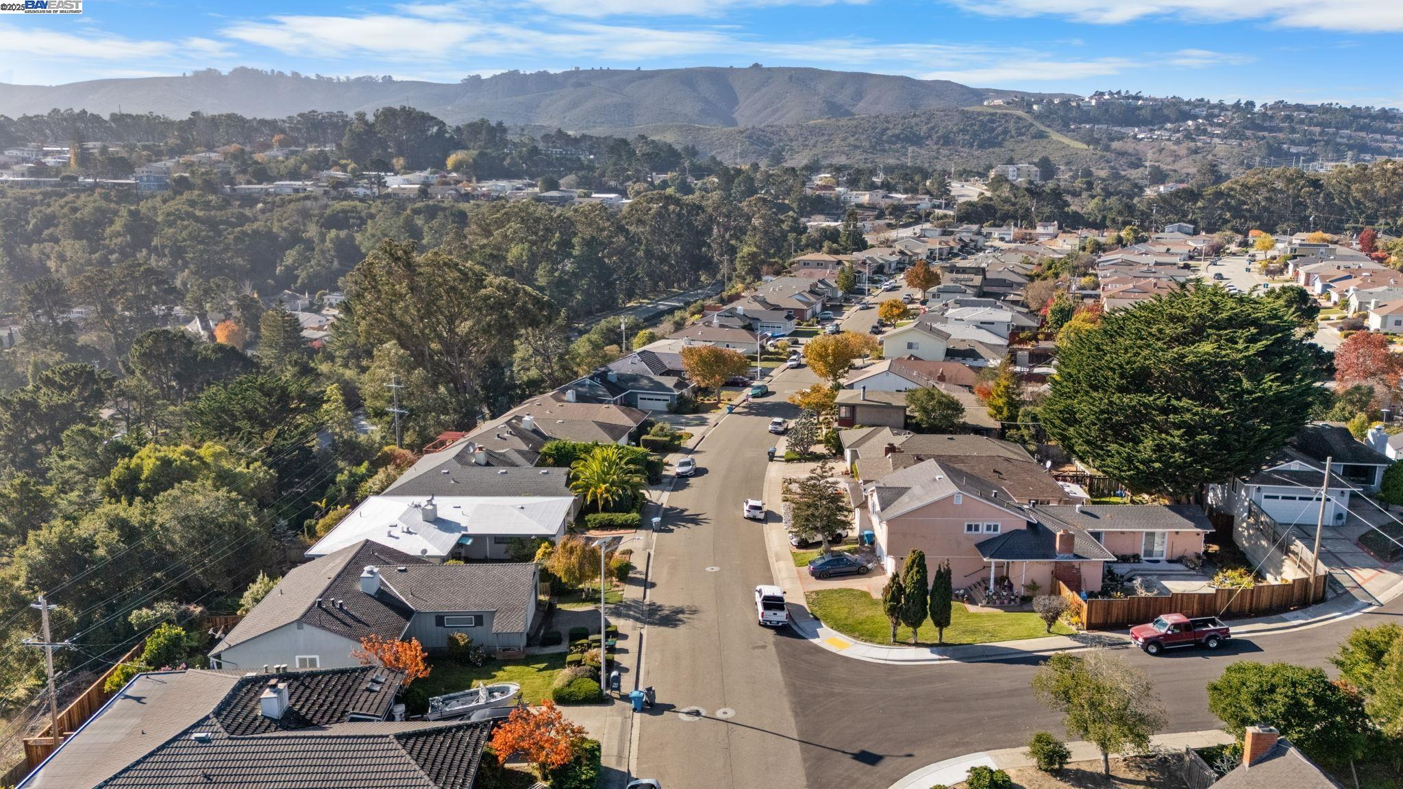 Detail Gallery Image 51 of 59 For 2461 Trenton Dr, San Bruno,  CA 94066 - 3 Beds | 2 Baths