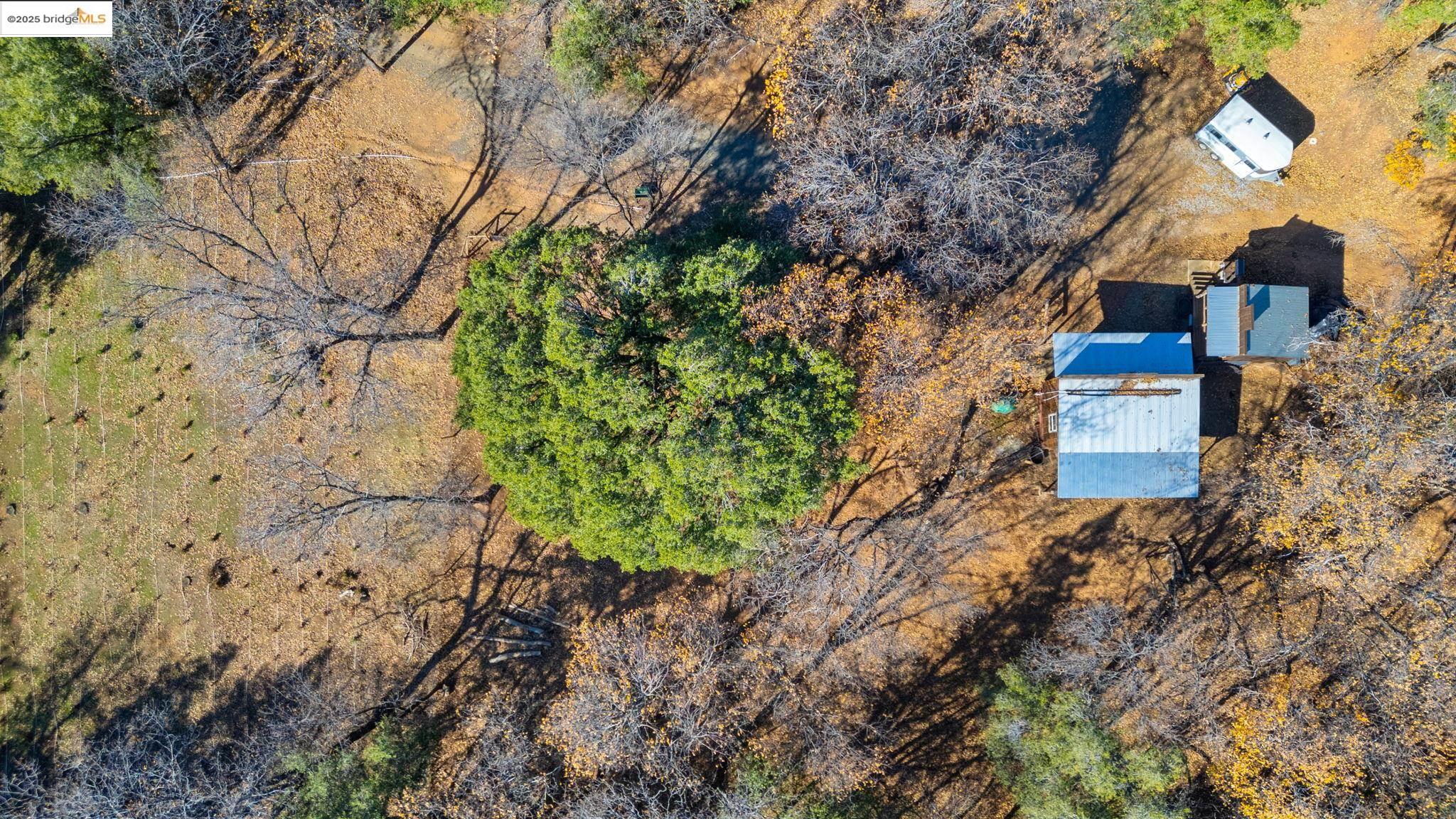 Detail Gallery Image 51 of 55 For 16144 Big Hill Road, Sonora,  CA 95370 - 2 Beds | 2 Baths