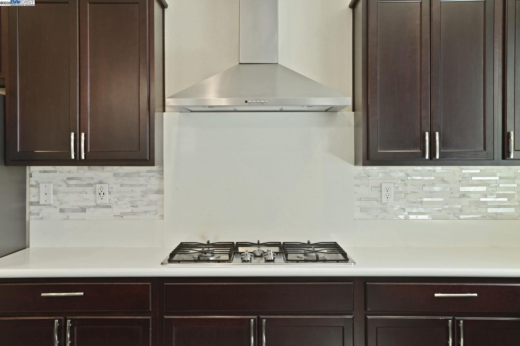 Detail Gallery Image 32 of 60 For 1503 S Oliveira Dr, Mountain House,  CA 95391 - 4 Beds | 3 Baths