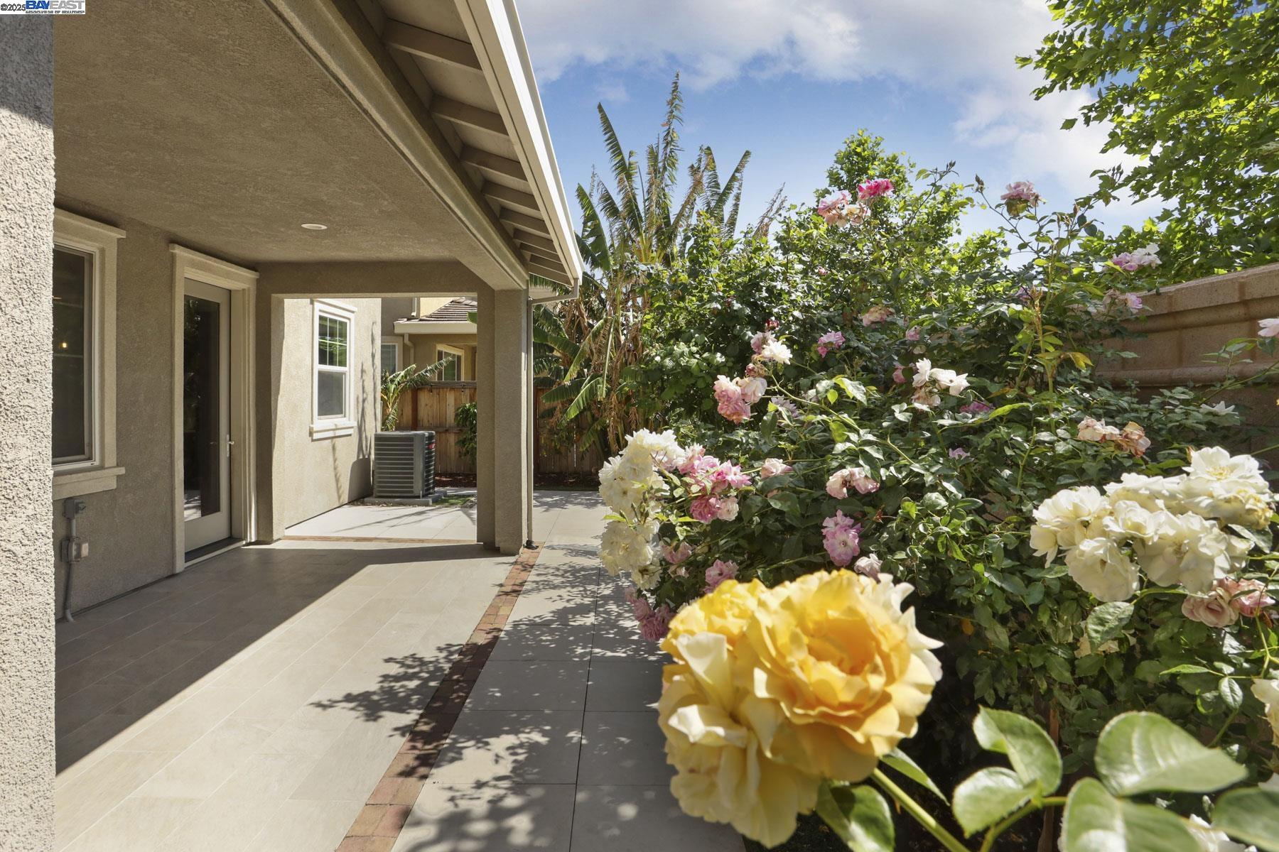 Detail Gallery Image 53 of 60 For 1503 S Oliveira Dr, Mountain House,  CA 95391 - 4 Beds | 3 Baths