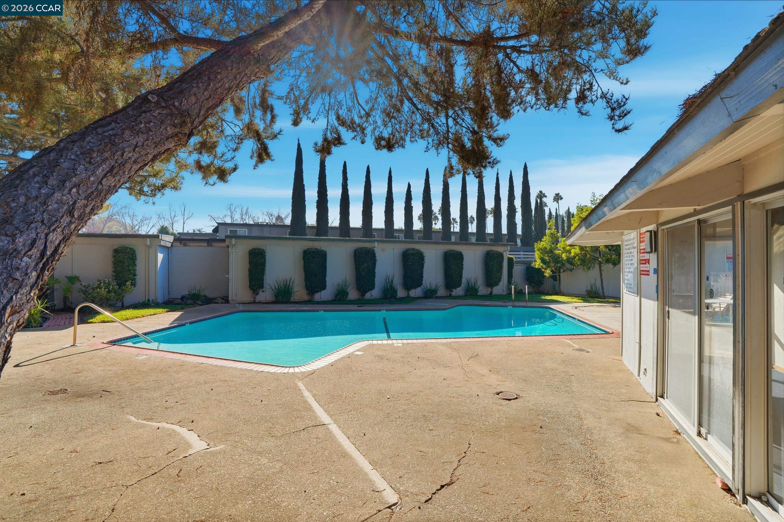 Photo #10: 41119153 Listing: Photo #10