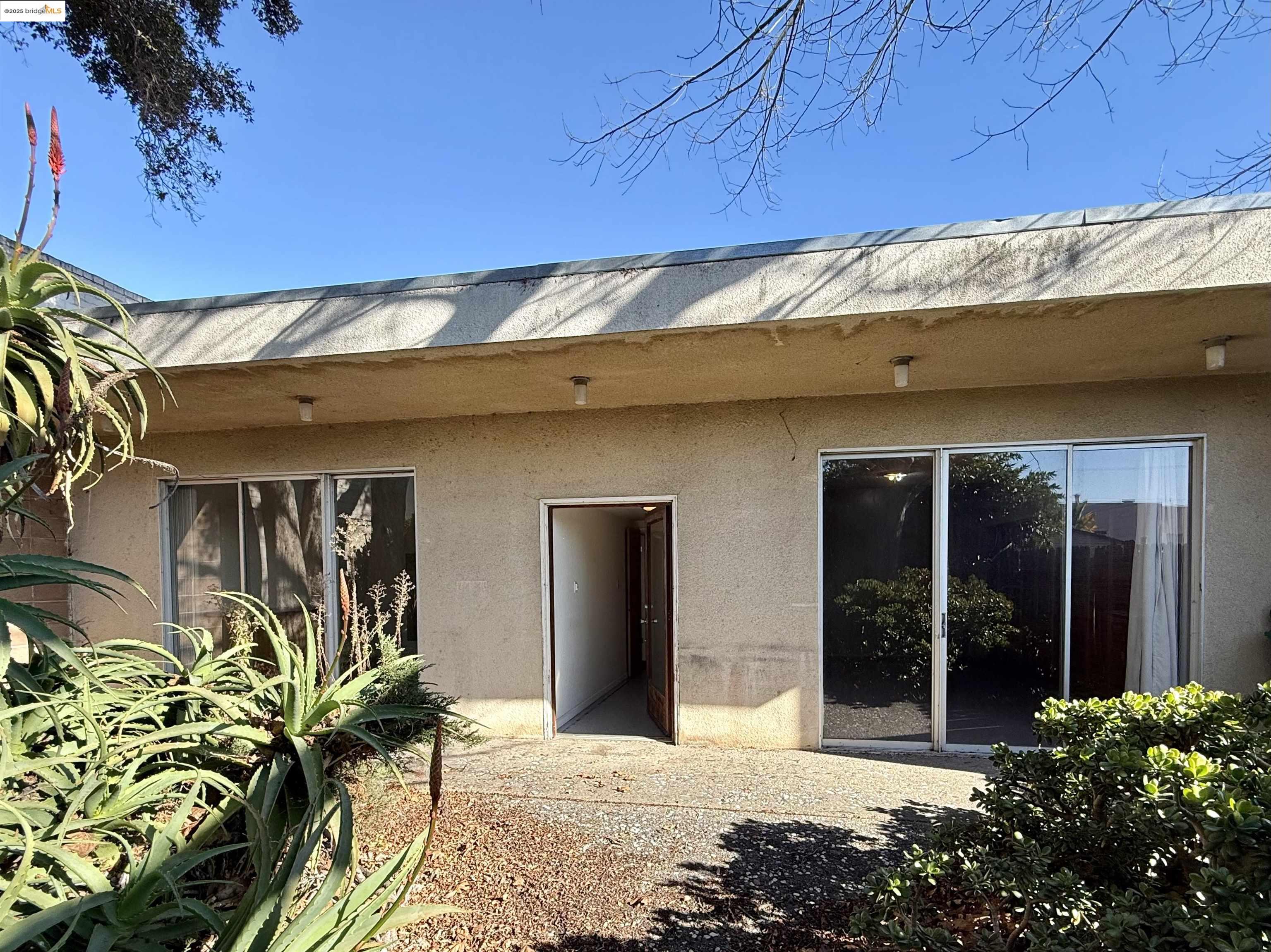 Detail Gallery Image 21 of 21 For 928 San Pablo Ave, Albany,  CA 94706 - – Beds | – Baths