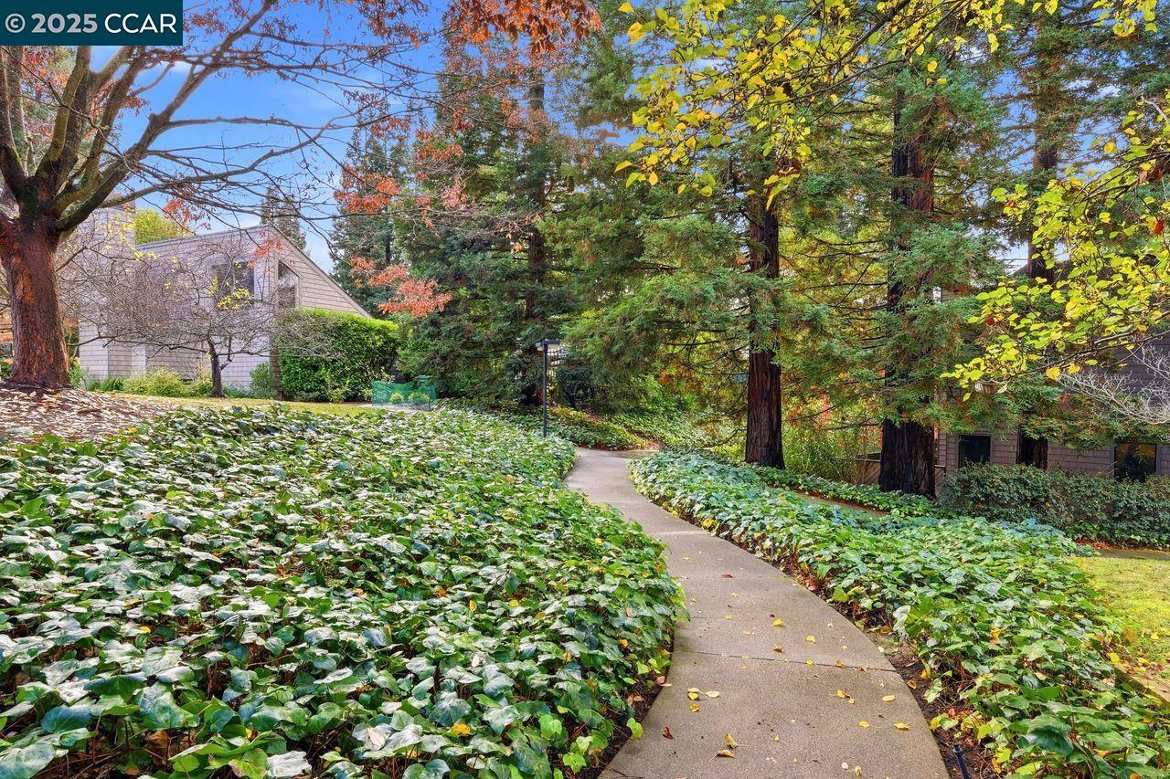 Detail Gallery Image 38 of 48 For 533 Monarch Ridge Dr, Walnut Creek,  CA 94597 - 2 Beds | 2/1 Baths