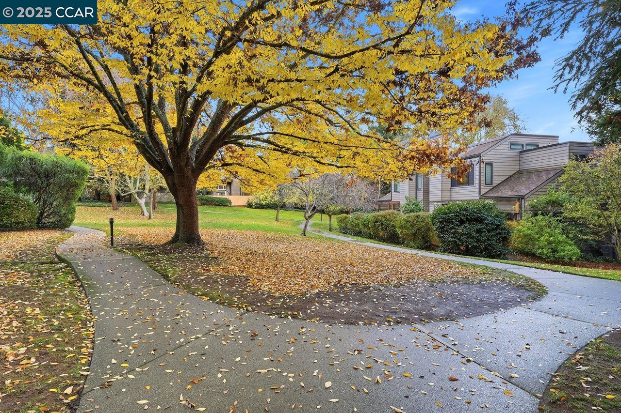 Detail Gallery Image 39 of 48 For 533 Monarch Ridge Dr, Walnut Creek,  CA 94597 - 2 Beds | 2/1 Baths