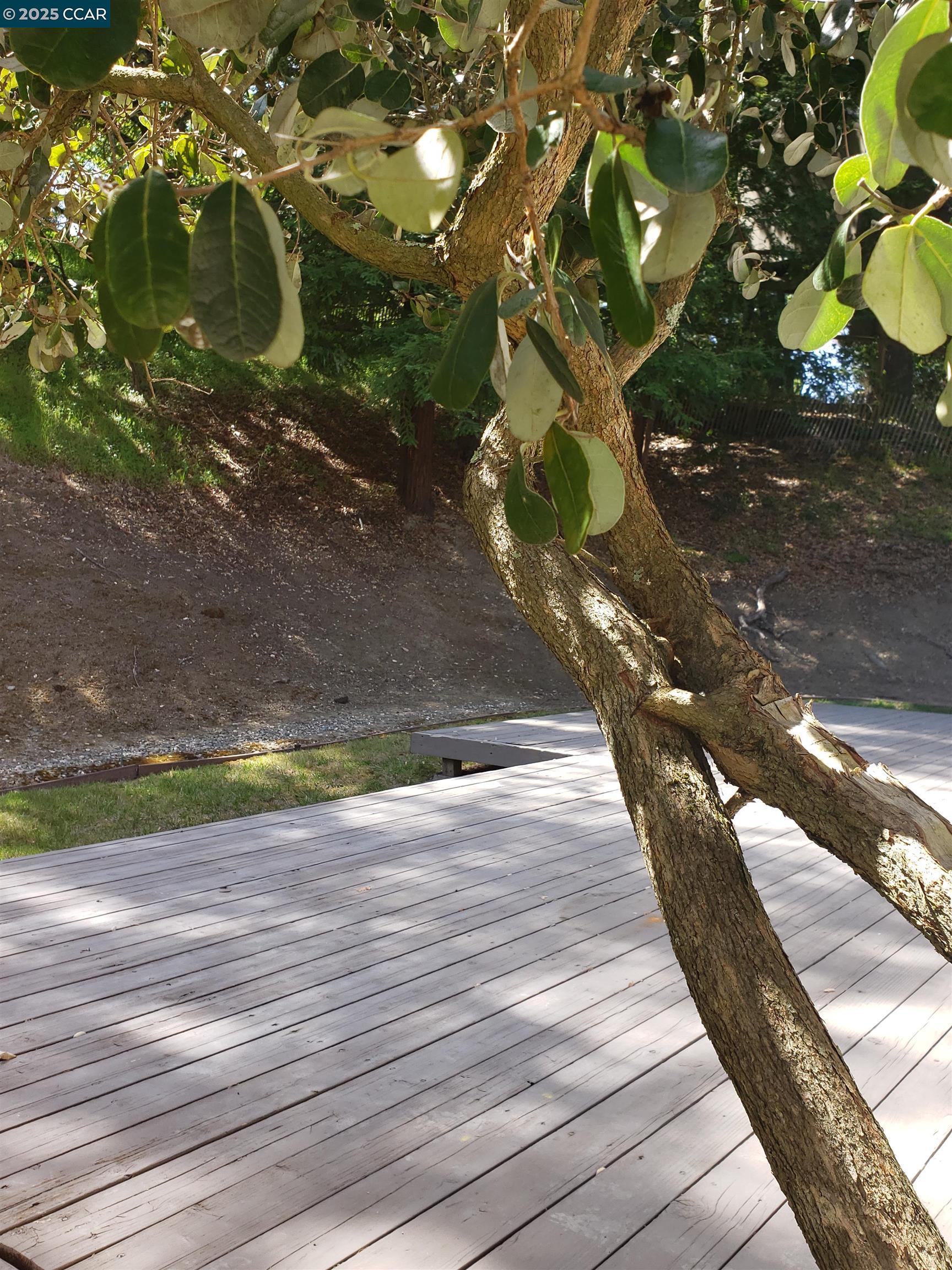 Detail Gallery Image 20 of 21 For 44 Muth Dr, Orinda,  CA 94563 - 3 Beds | 2 Baths