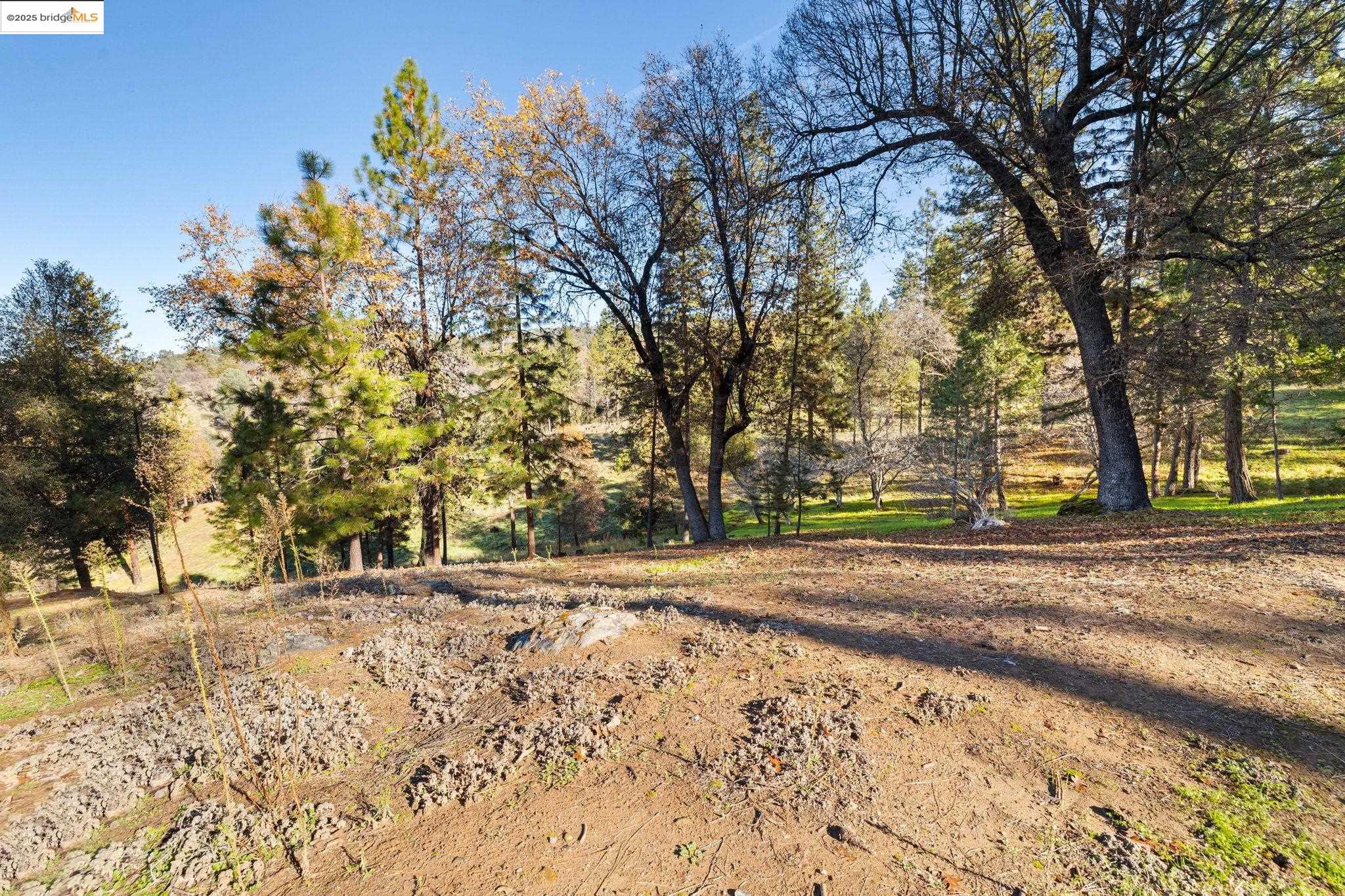 Front Image Thumbnail for EB41119240