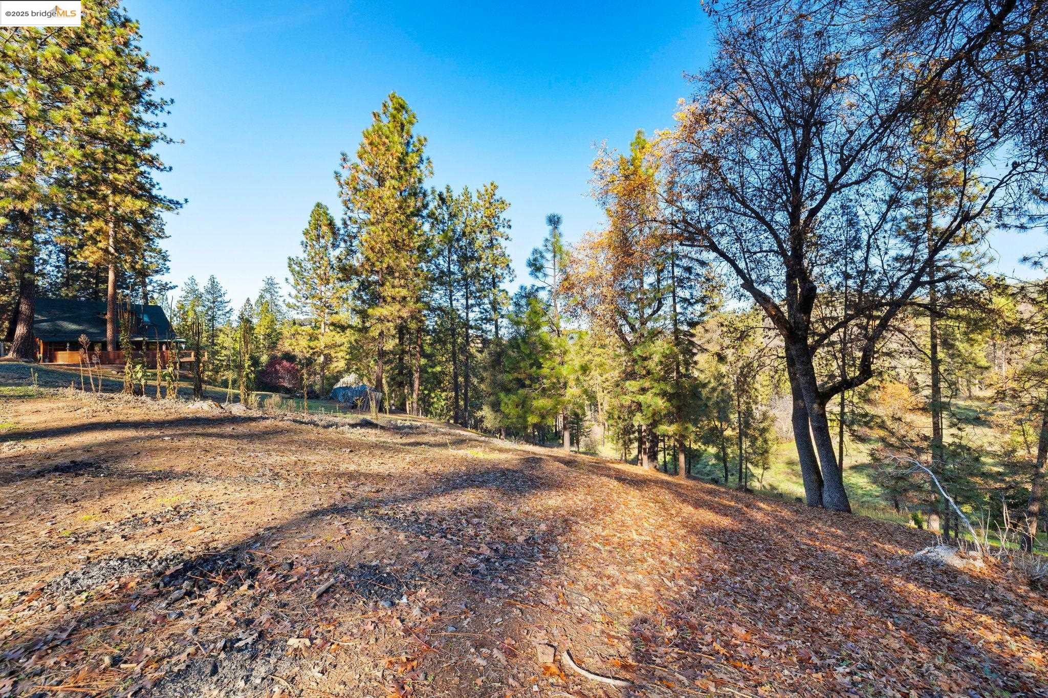 Front Image Thumbnail for EB41119241