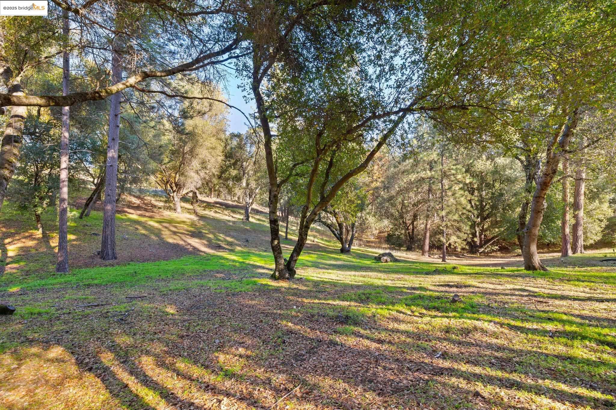 Detail Gallery Image 6 of 29 For 6/235 Ferretti Rd, Groveland,  CA 95321 - – Beds | – Baths