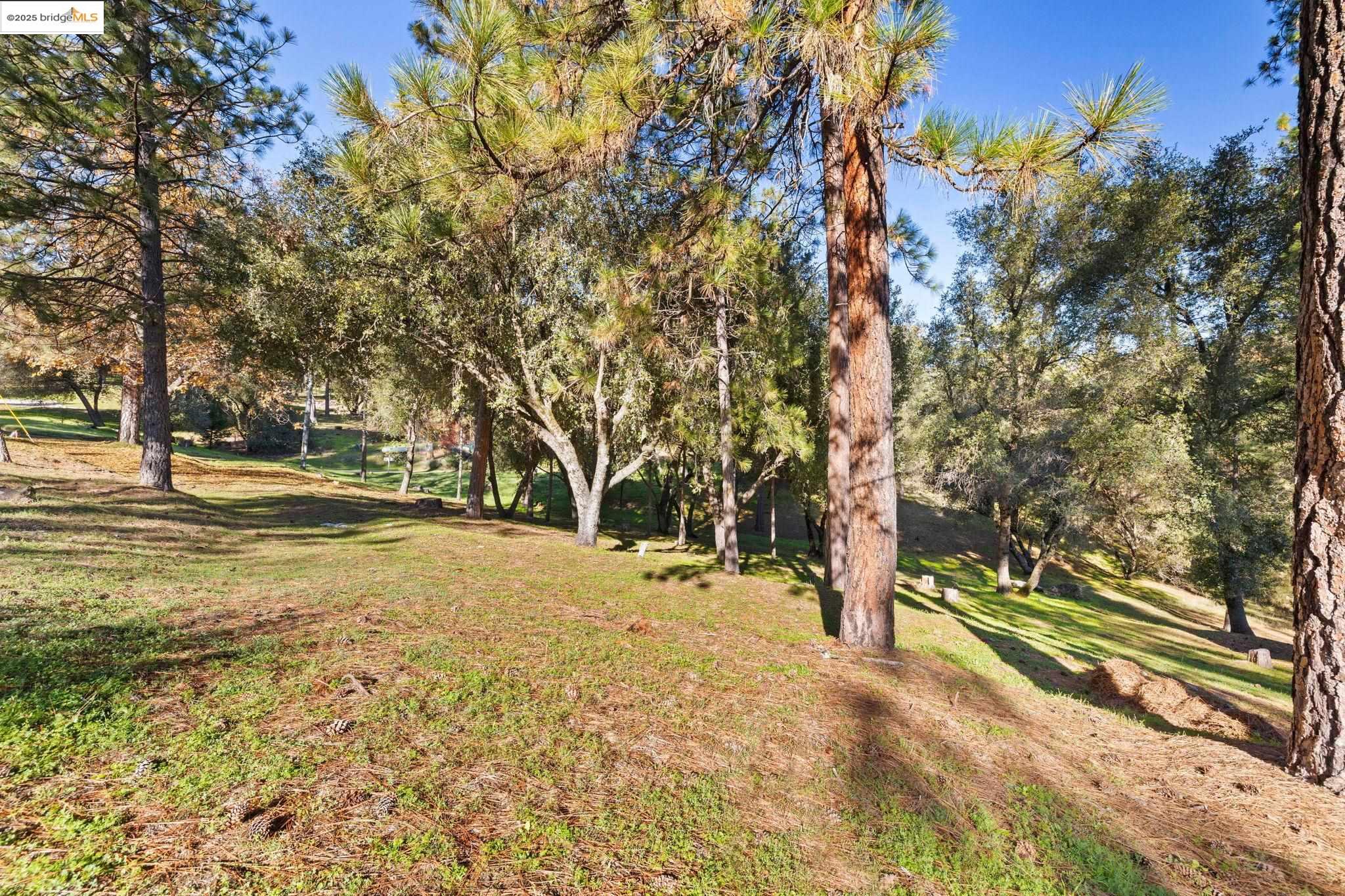 Detail Gallery Image 8 of 29 For 6/235 Ferretti Rd, Groveland,  CA 95321 - – Beds | – Baths