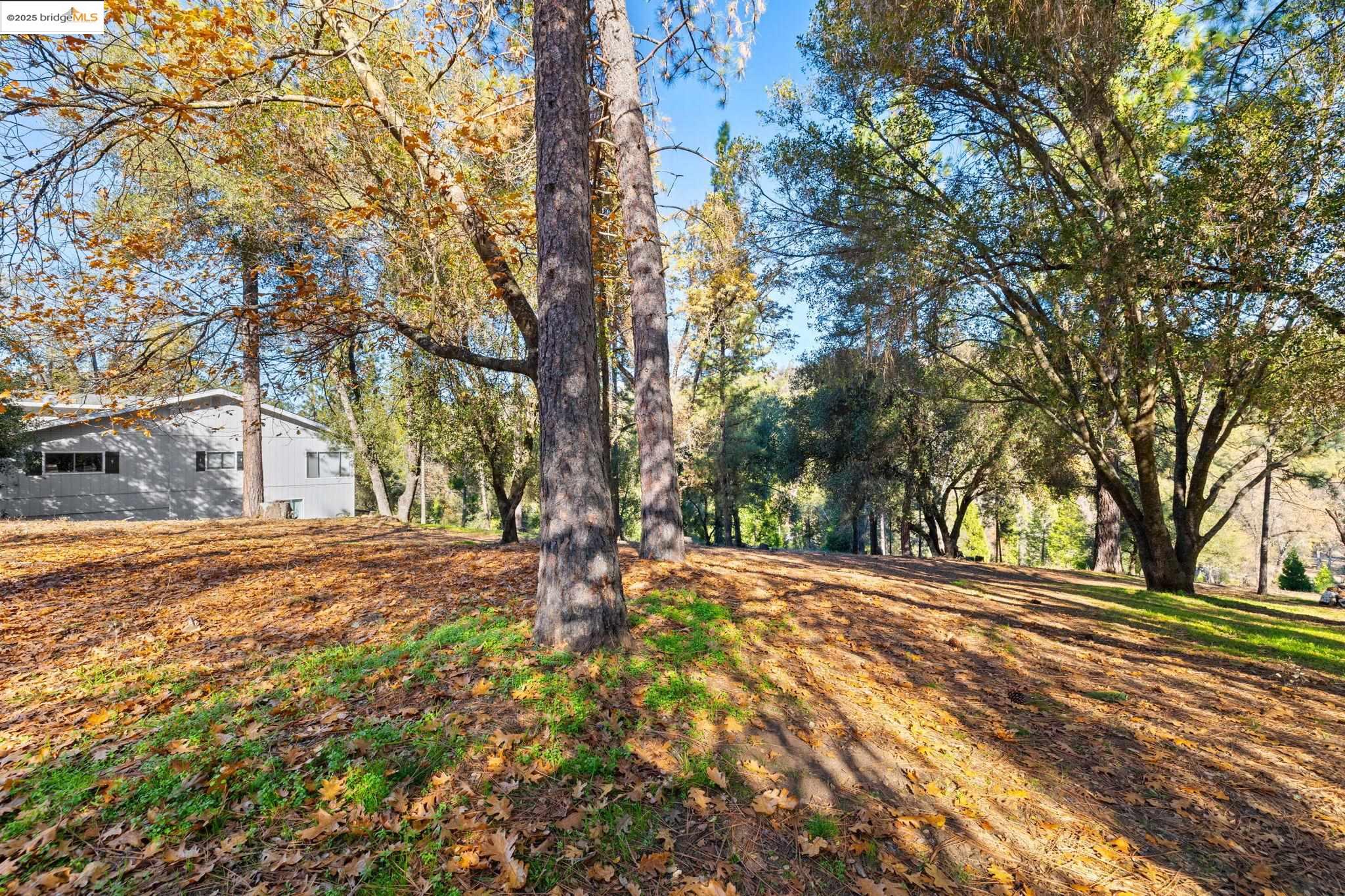 Detail Gallery Image 4 of 26 For 19426 Ferretti Rd, Groveland,  CA 95321 - – Beds | – Baths