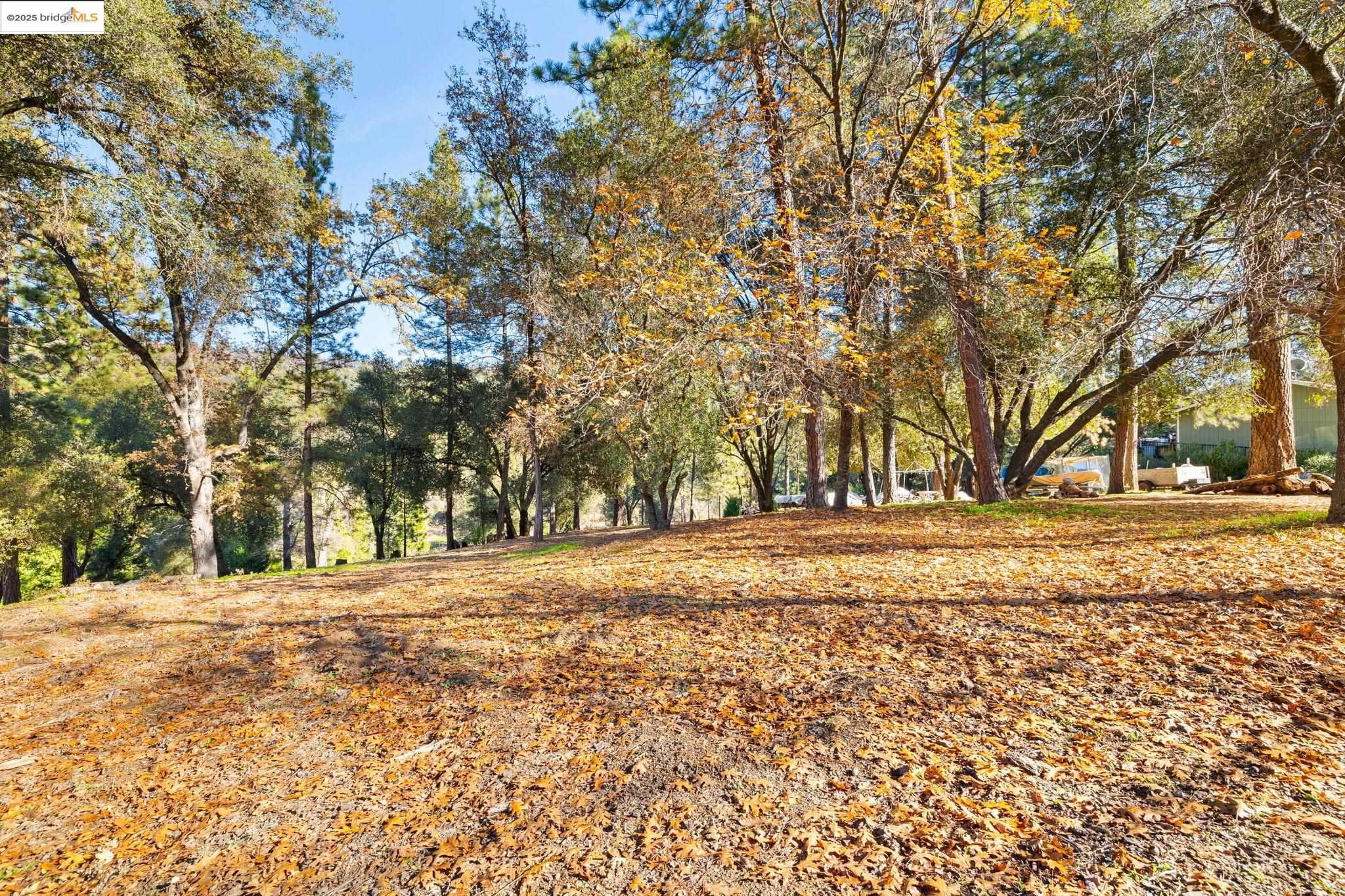 Detail Gallery Image 5 of 26 For 19426 Ferretti Rd, Groveland,  CA 95321 - – Beds | – Baths