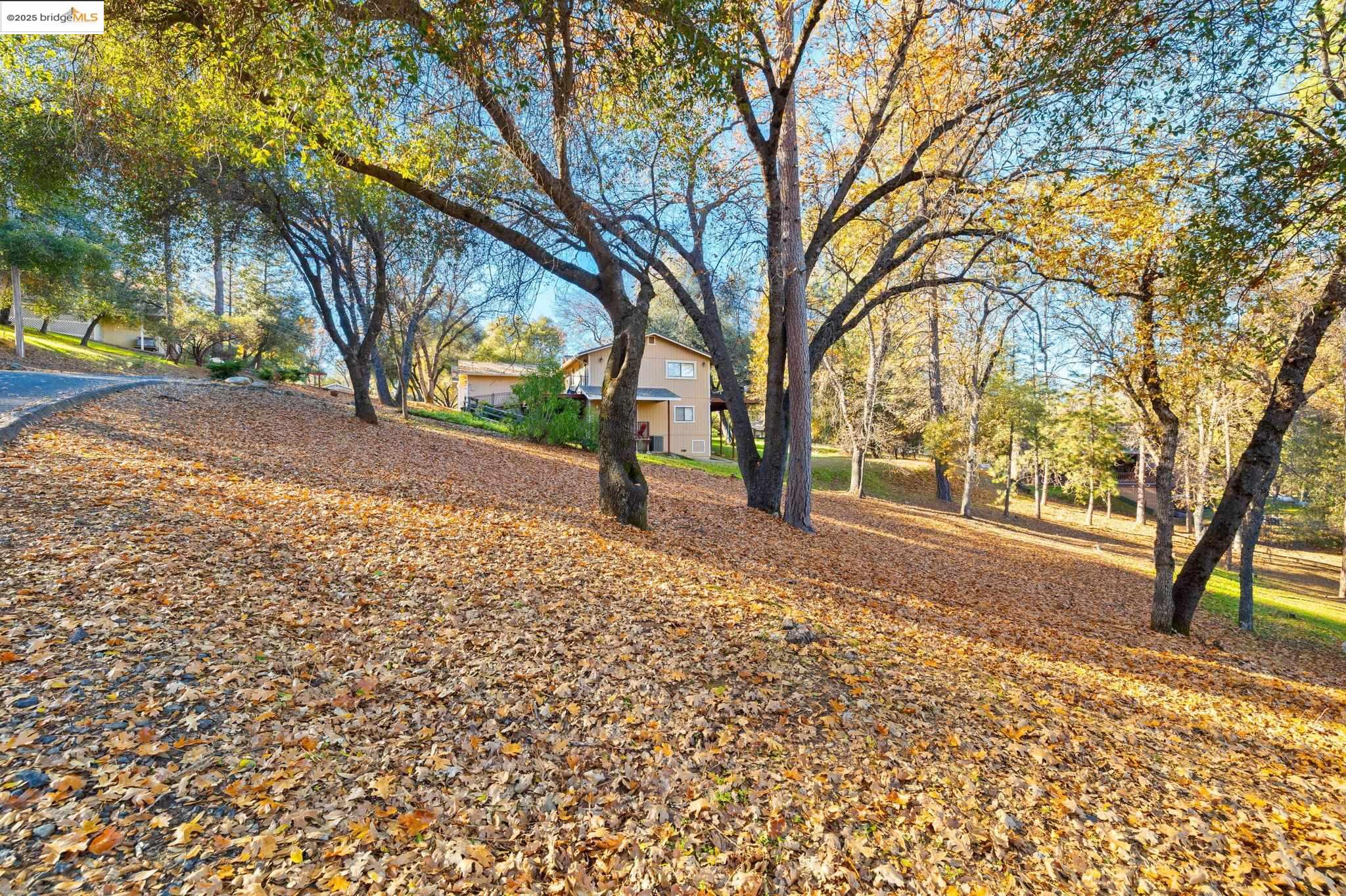 Front Image Thumbnail for EB41119254