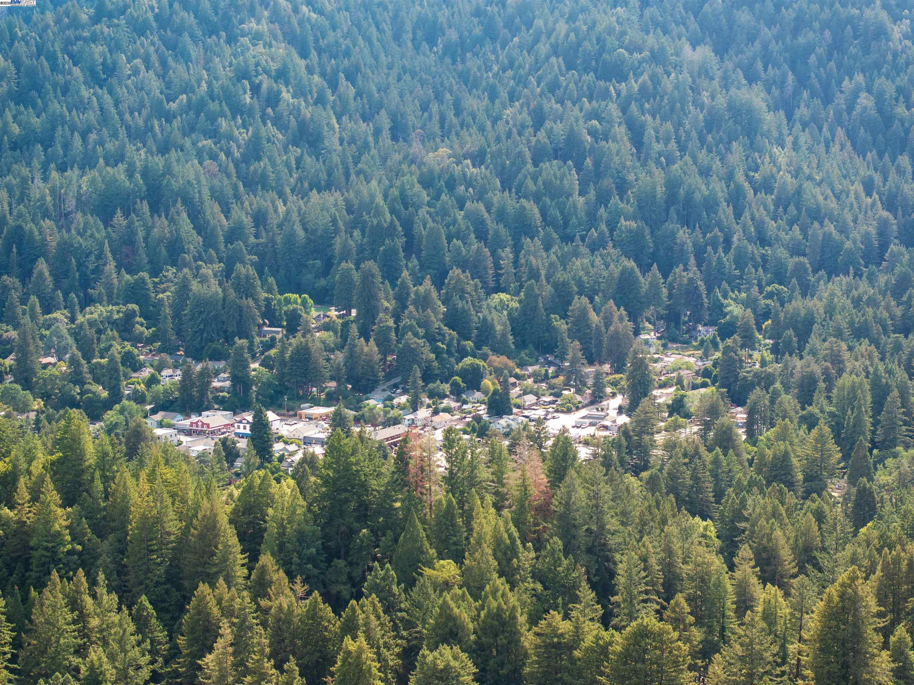 Detail Gallery Image 48 of 59 For 620 Manzanita Ave, Boulder Creek,  CA 95006 - 4 Beds | 3/1 Baths