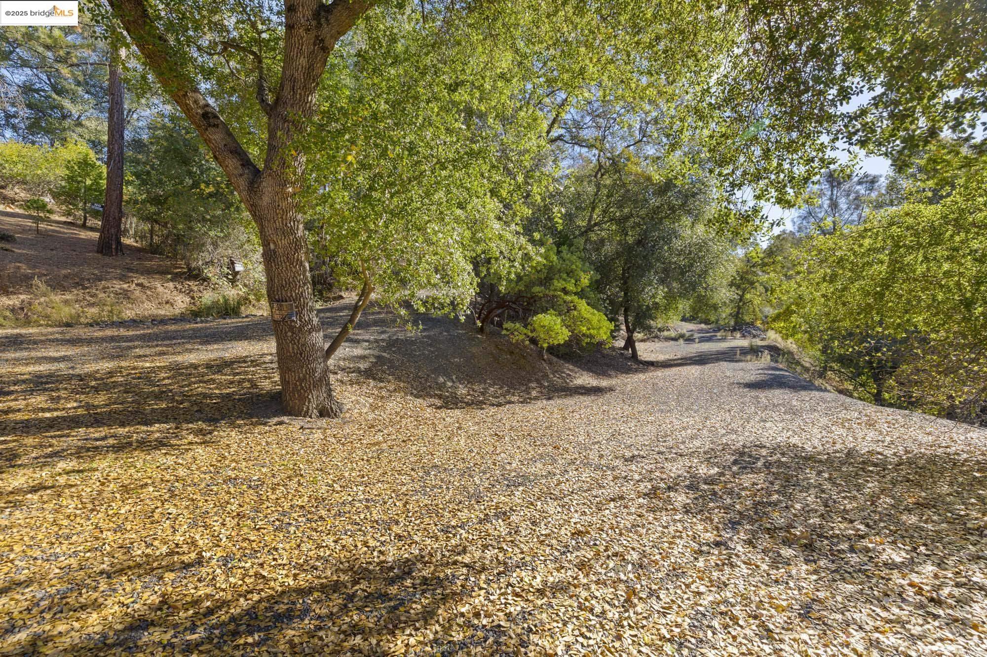 Detail Gallery Image 20 of 40 For Old Bald Mountain Rd., Sonora,  CA 95370 - 5 Beds | 4 Baths