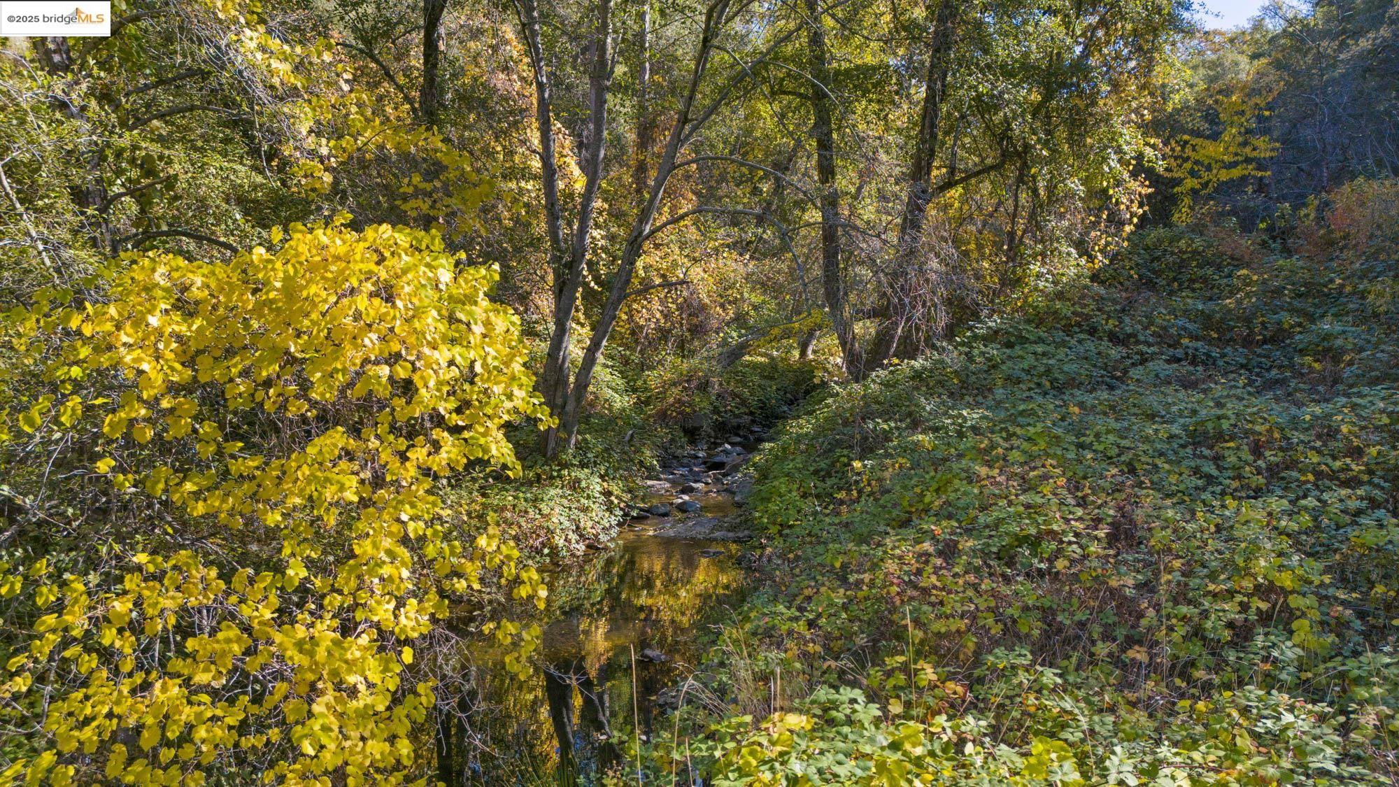 Detail Gallery Image 35 of 40 For Old Bald Mountain Rd., Sonora,  CA 95370 - 5 Beds | 4 Baths