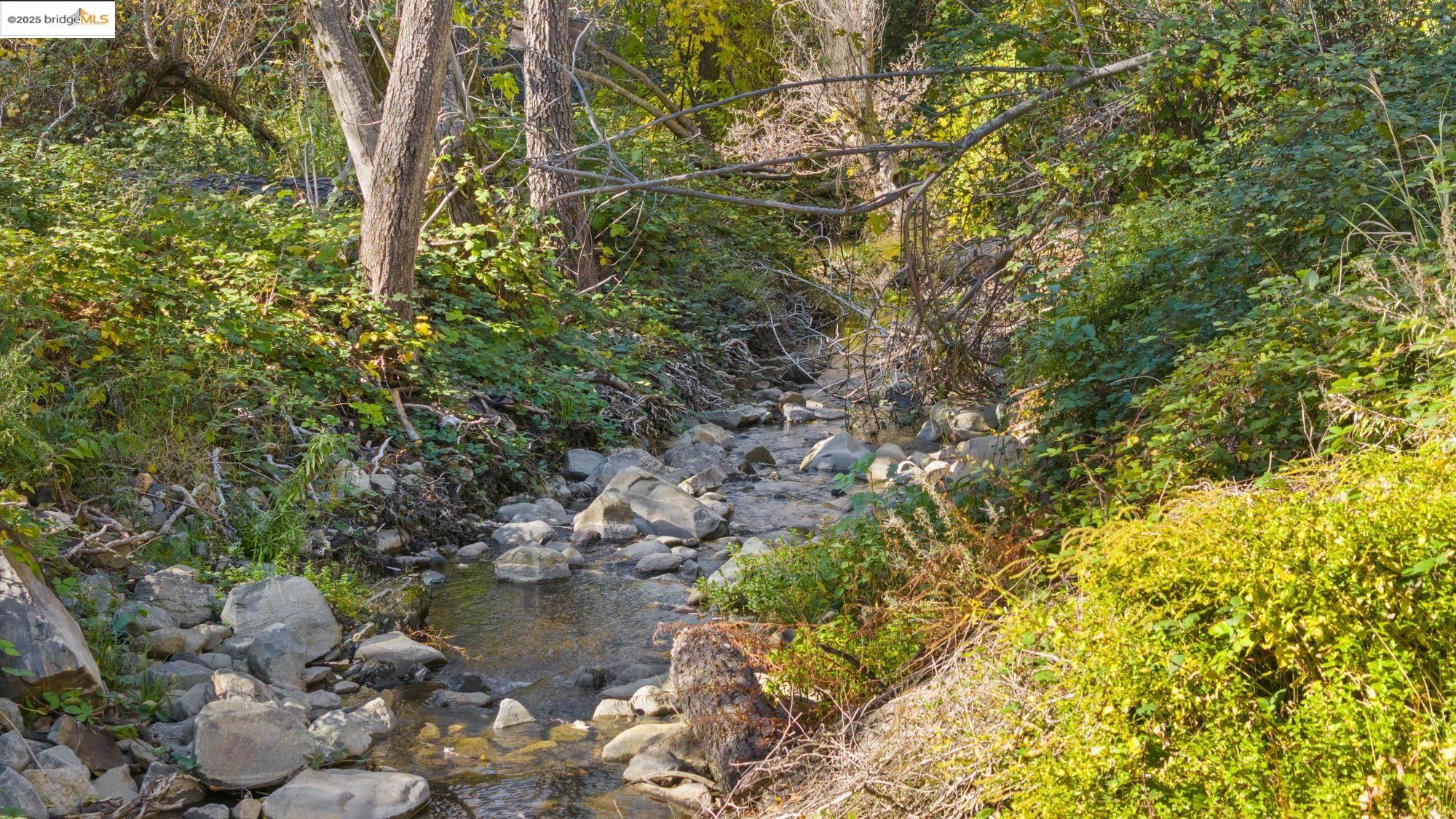 Detail Gallery Image 37 of 40 For Old Bald Mountain Rd., Sonora,  CA 95370 - 5 Beds | 4 Baths