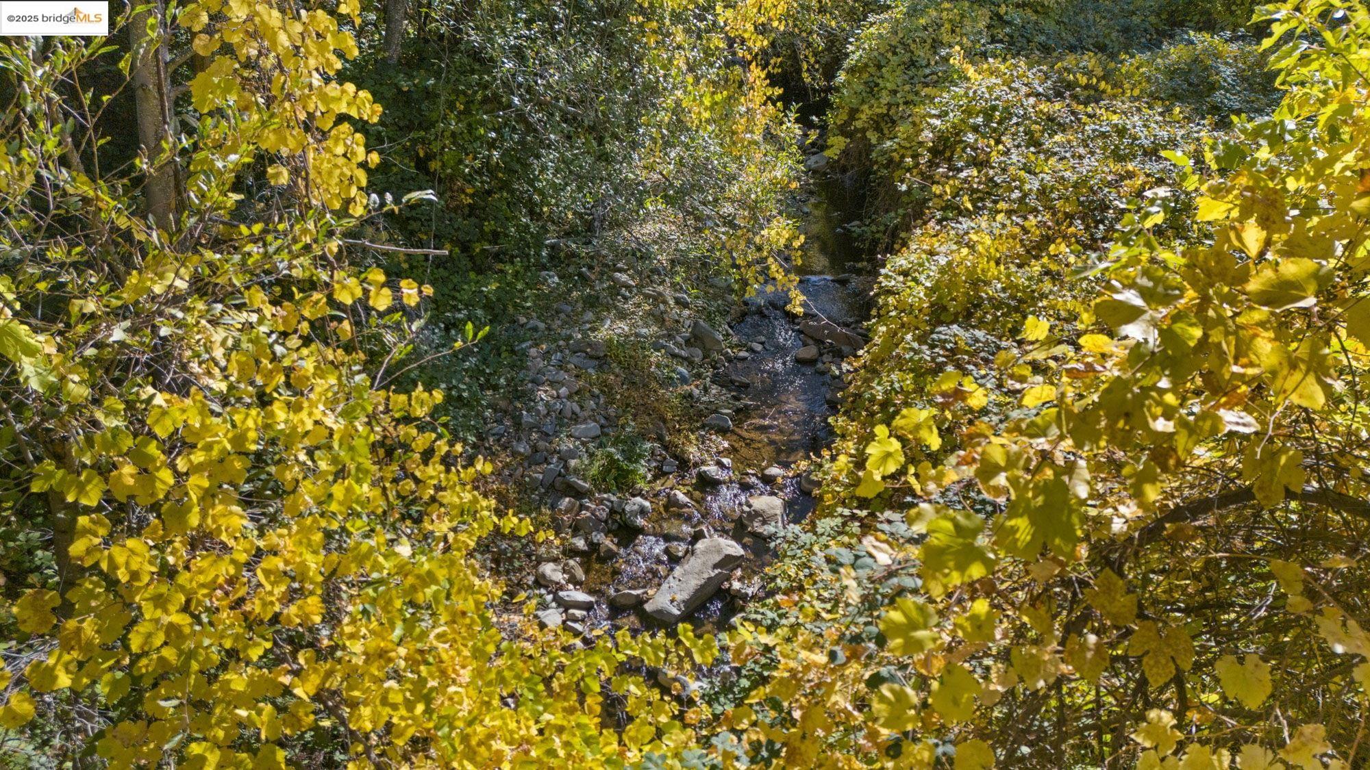 Detail Gallery Image 38 of 40 For Old Bald Mountain Rd., Sonora,  CA 95370 - 5 Beds | 4 Baths