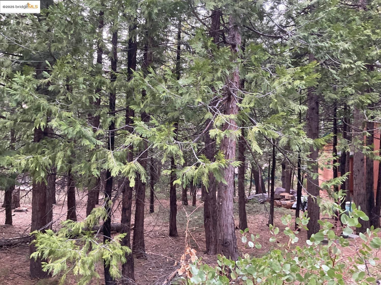 Front Image Thumbnail for EB41119296