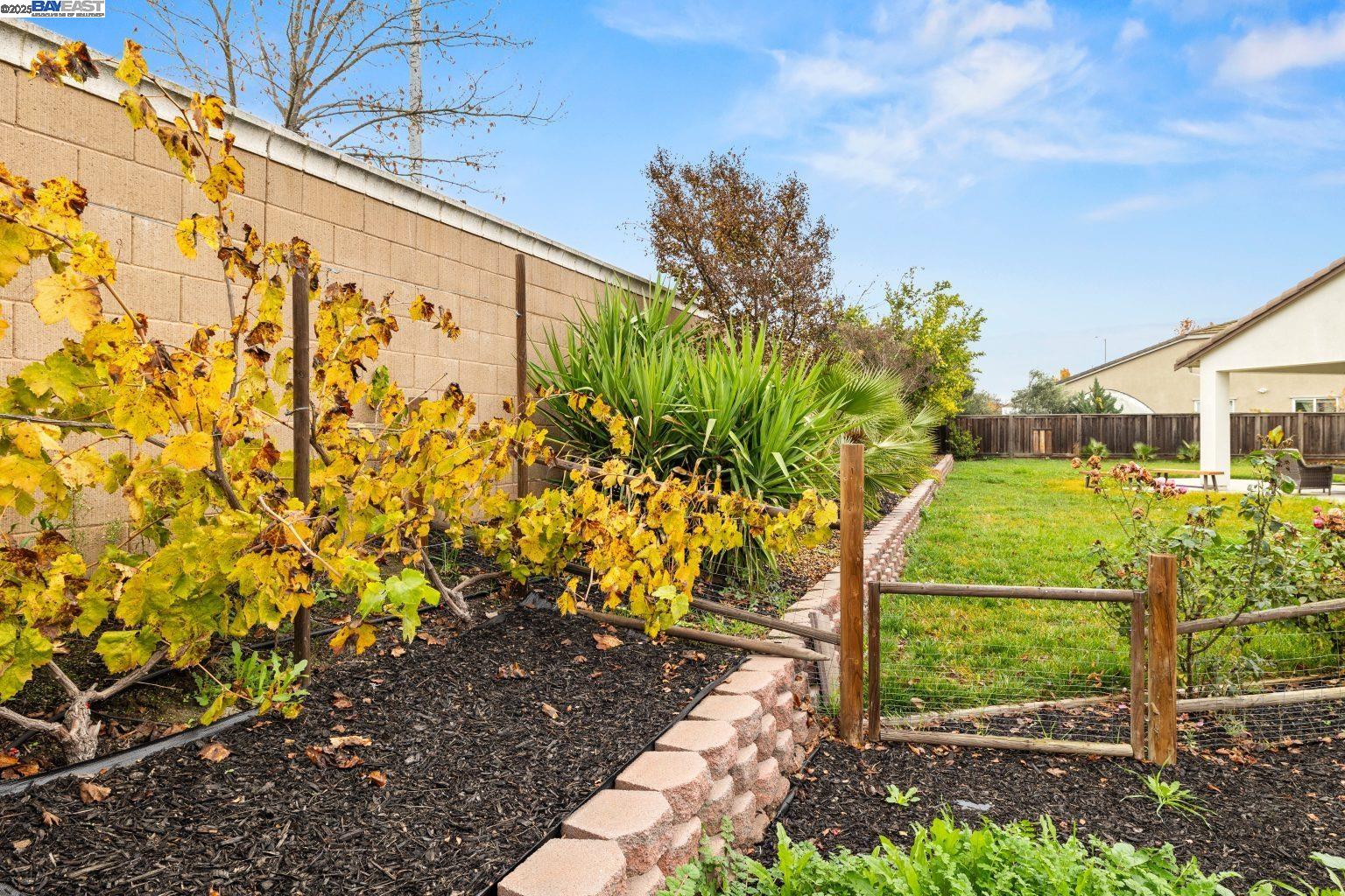 Detail Gallery Image 7 of 58 For 917 Talaria Ct, Oakley,  CA 94561 - 4 Beds | 3 Baths