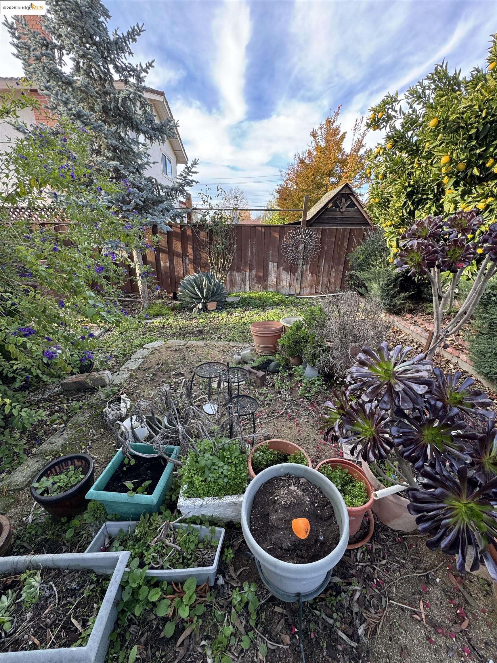 Detail Gallery Image 25 of 49 For 7081 Ann Arbor Way, Dublin,  CA 94568 - 4 Beds | 2/1 Baths