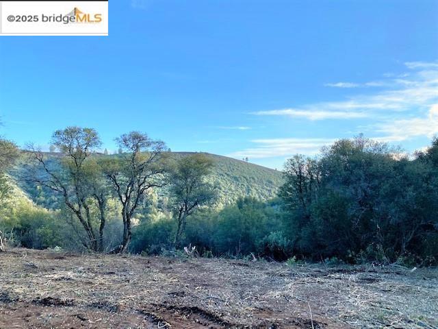 Detail Gallery Image 7 of 41 For 17290 Anderson St & Hwy 120, –,  CA 95305-0000 - – Beds | – Baths