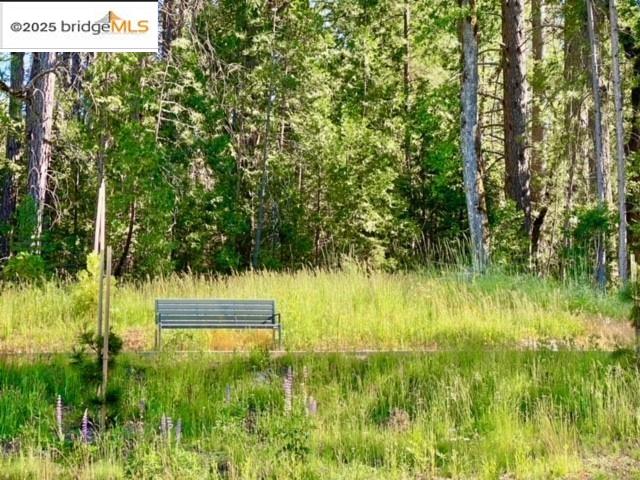 Detail Gallery Image 25 of 28 For 18497 State Hwy 120, Groveland,  CA 95321-0000 - – Beds | – Baths