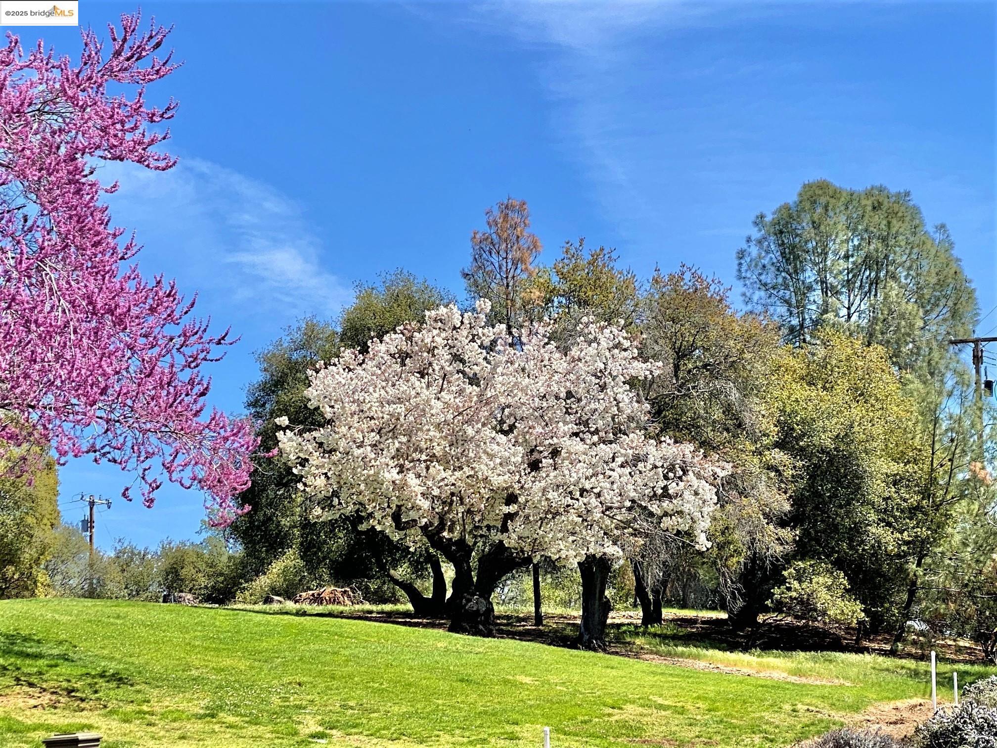 Detail Gallery Image 27 of 28 For 18497 State Hwy 120, Groveland,  CA 95321-0000 - – Beds | – Baths