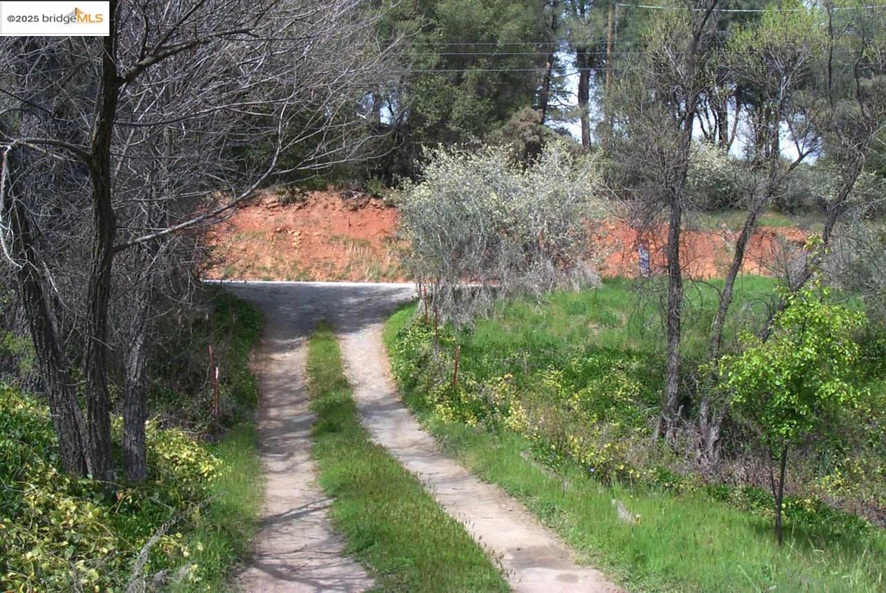 Detail Gallery Image 4 of 28 For 18497 State Hwy 120, Groveland,  CA 95321-0000 - – Beds | – Baths