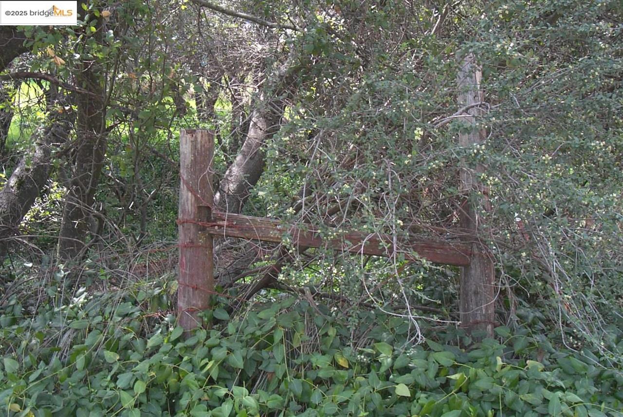 Detail Gallery Image 5 of 28 For 18497 State Hwy 120, Groveland,  CA 95321-0000 - – Beds | – Baths