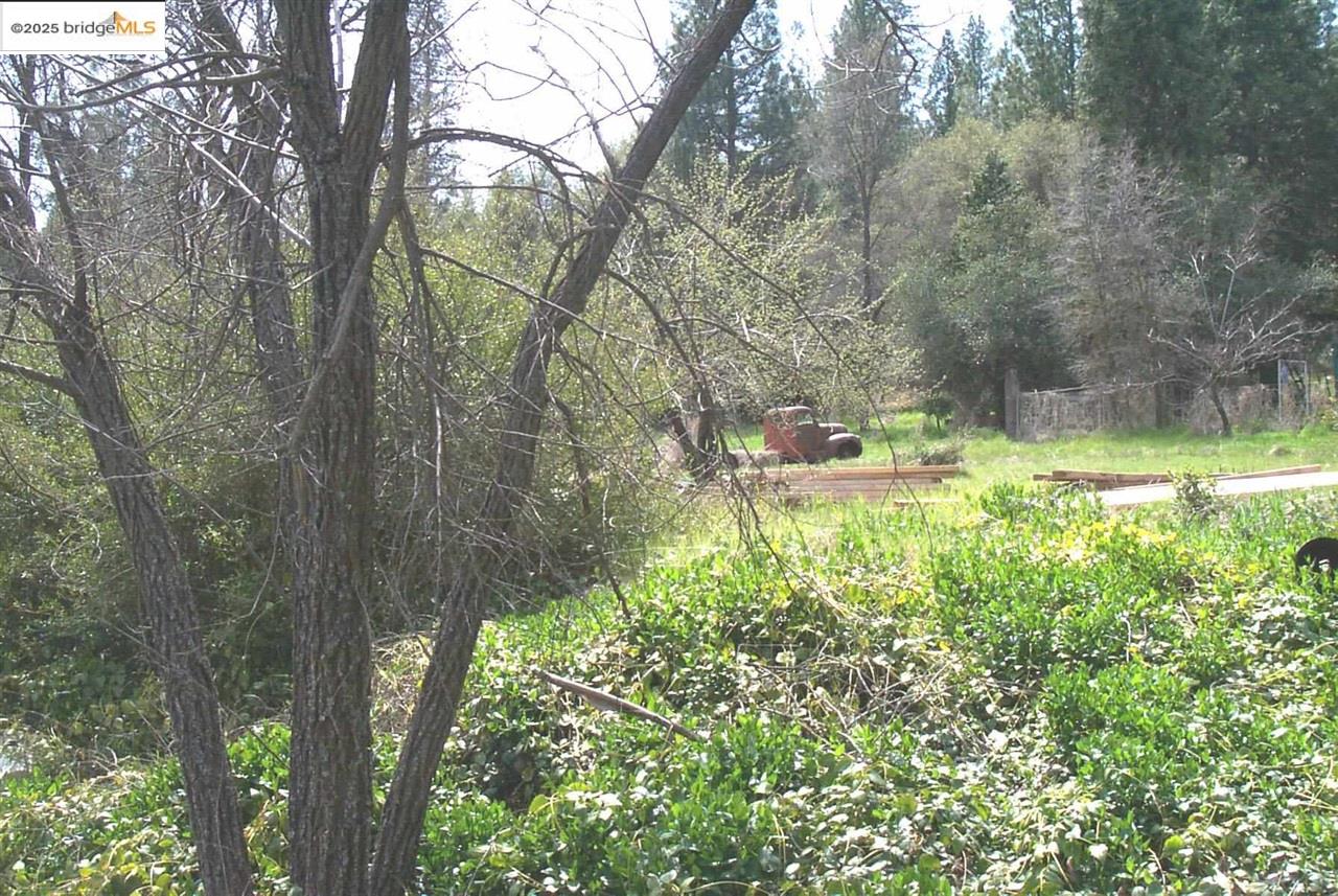 Detail Gallery Image 6 of 28 For 18497 State Hwy 120, Groveland,  CA 95321-0000 - – Beds | – Baths