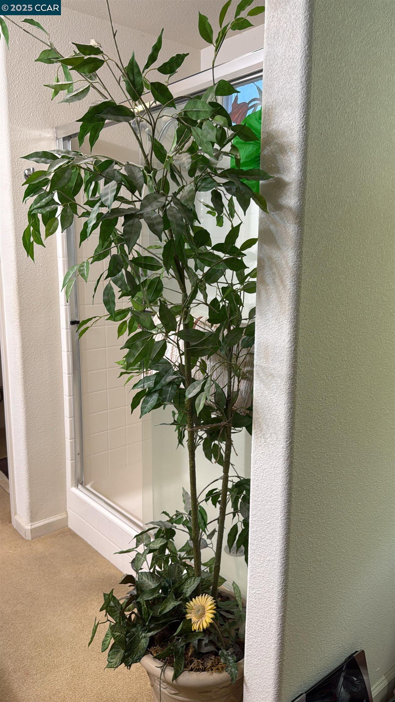 Detail Gallery Image 18 of 38 For 307 Crystal Downs Dr, Rio Vista,  CA 94571 - 2 Beds | 2 Baths