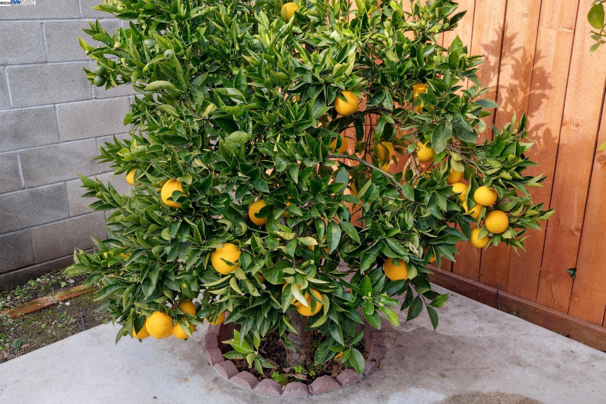 Detail Gallery Image 54 of 58 For 1815 102nd Ave, Oakland,  CA 94603 - 3 Beds | 3 Baths