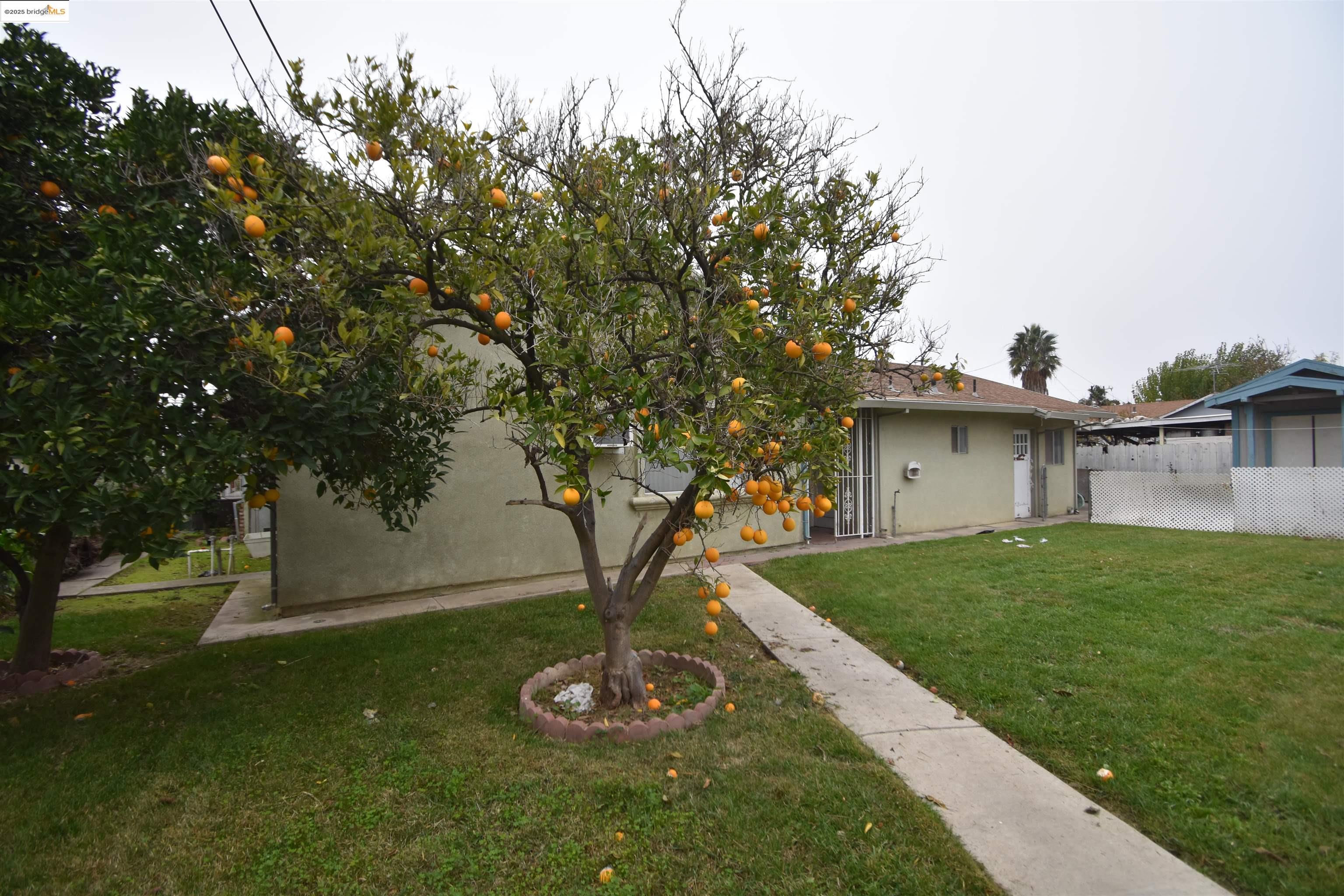 Detail Gallery Image 7 of 18 For 123 S Washington Ave, Manteca,  CA 95336 - 3 Beds | 3 Baths