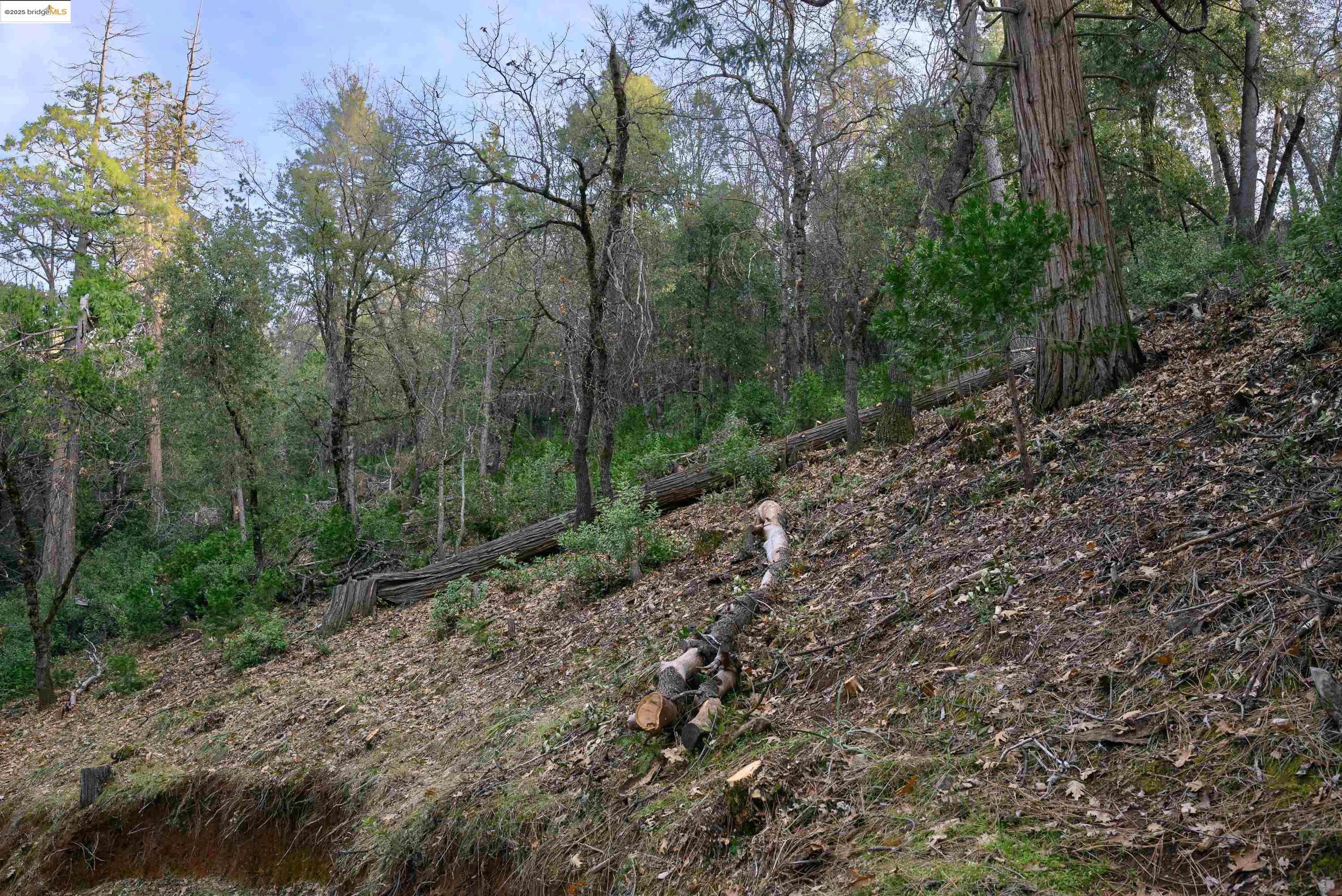 Detail Gallery Image 14 of 17 For 22608 Cedarcrest Rd, Sonora,  CA 95370 - 3 Beds | 2 Baths