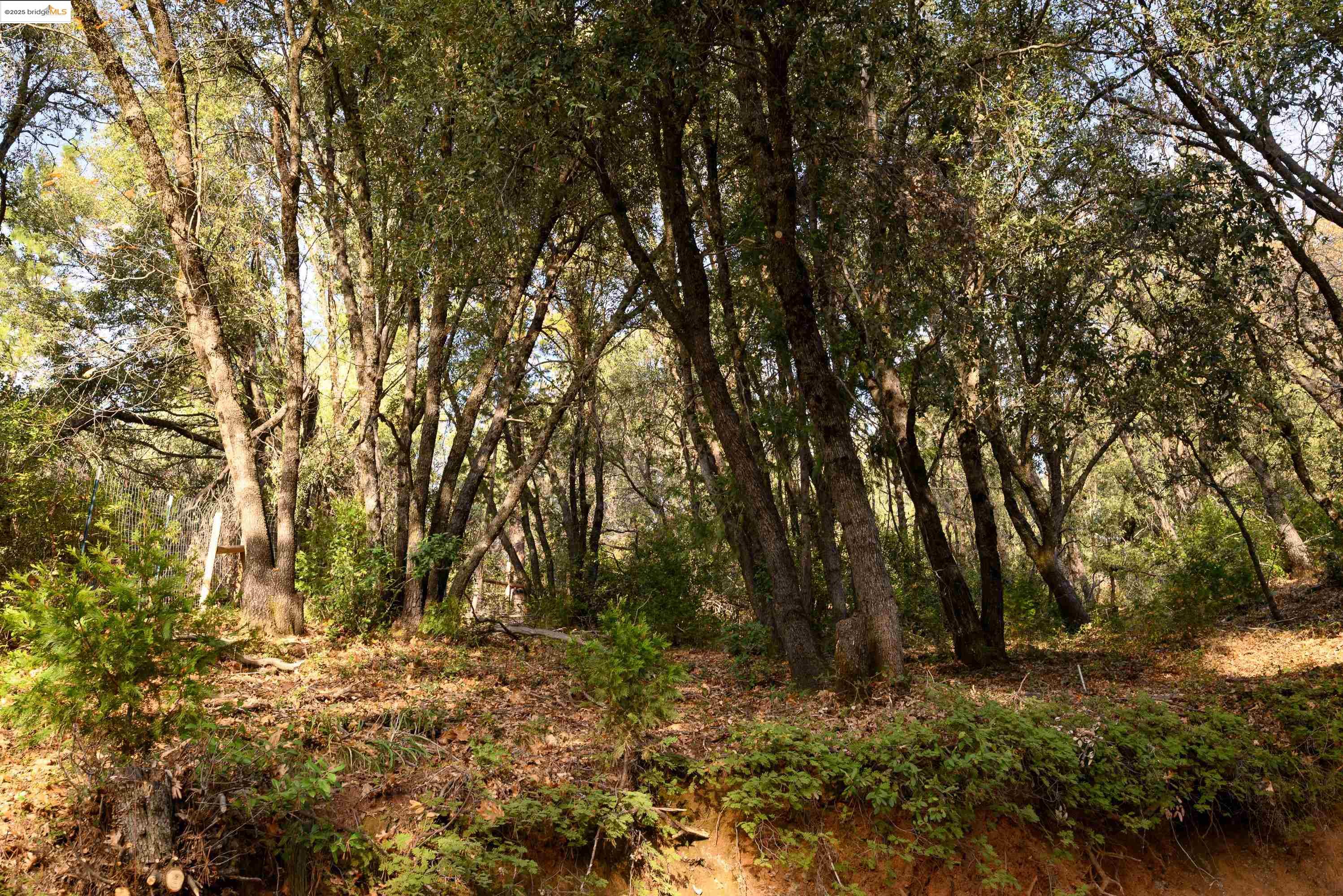 Detail Gallery Image 15 of 17 For 22608 Cedarcrest Rd, Sonora,  CA 95370 - 3 Beds | 2 Baths