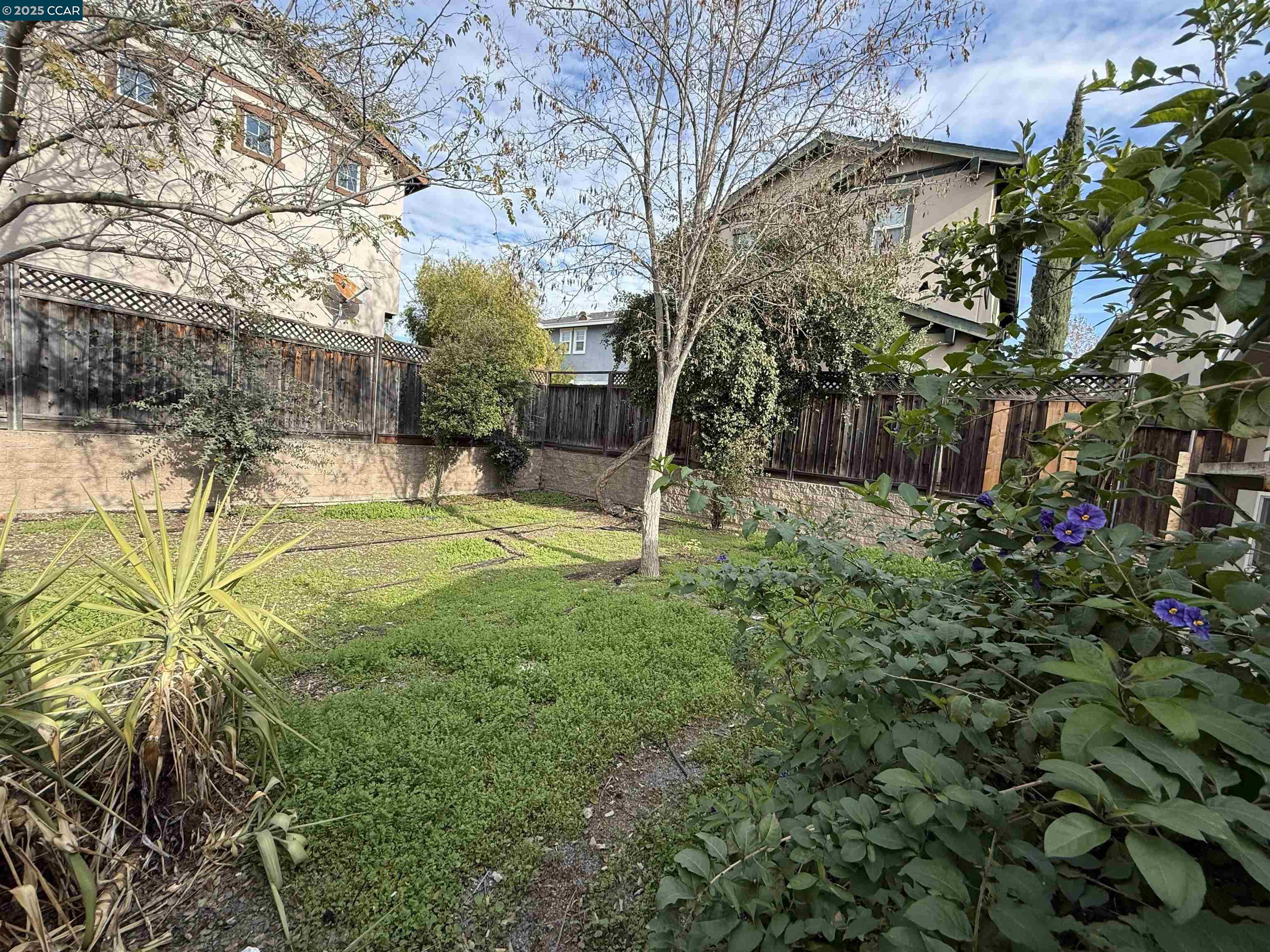 Detail Gallery Image 3 of 3 For 2875 Euclid Ave, Concord,  CA 94519 - 2 Beds | 1 Baths