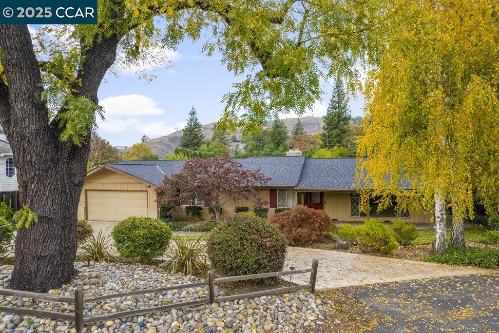 Front Image Thumbnail for CC41119410