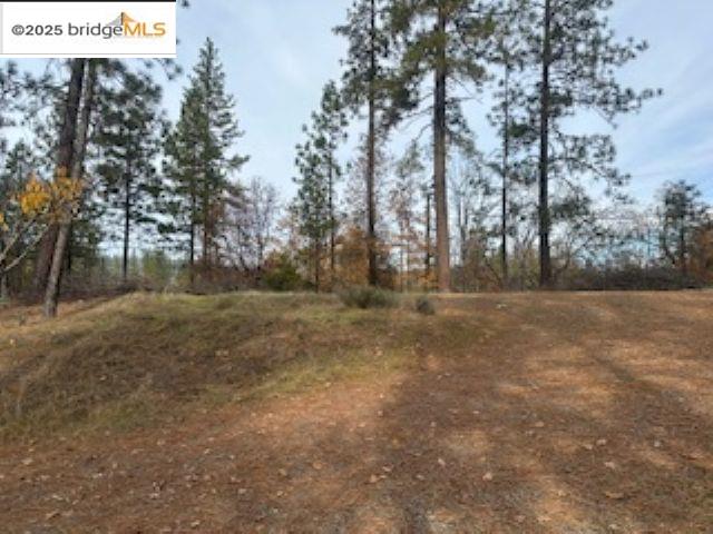 Detail Gallery Image 5 of 10 For 6294 Dogtown Rd, Coulterville,  CA 95311 - 3 Beds | 2 Baths