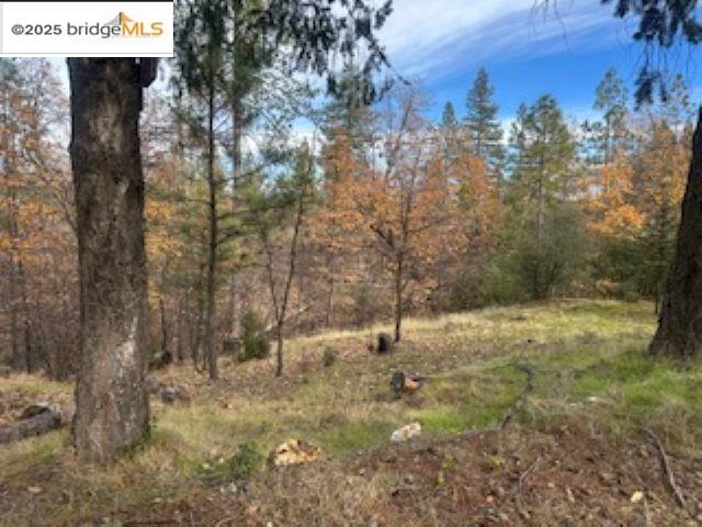 Detail Gallery Image 6 of 10 For 6294 Dogtown Rd, Coulterville,  CA 95311 - 3 Beds | 2 Baths